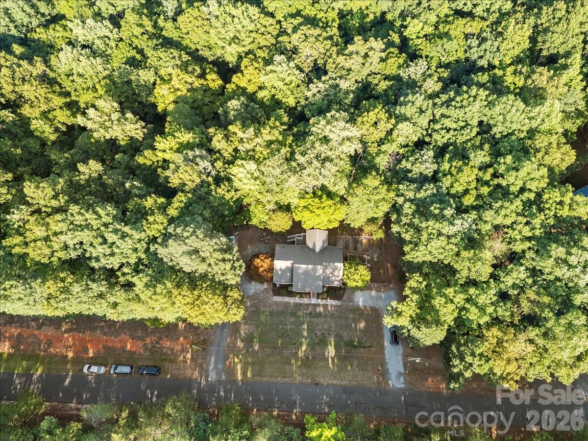 Lots of trees for shade in the summer and gorgeous foliage in the fall. - 104 Balsam Circle, Troy