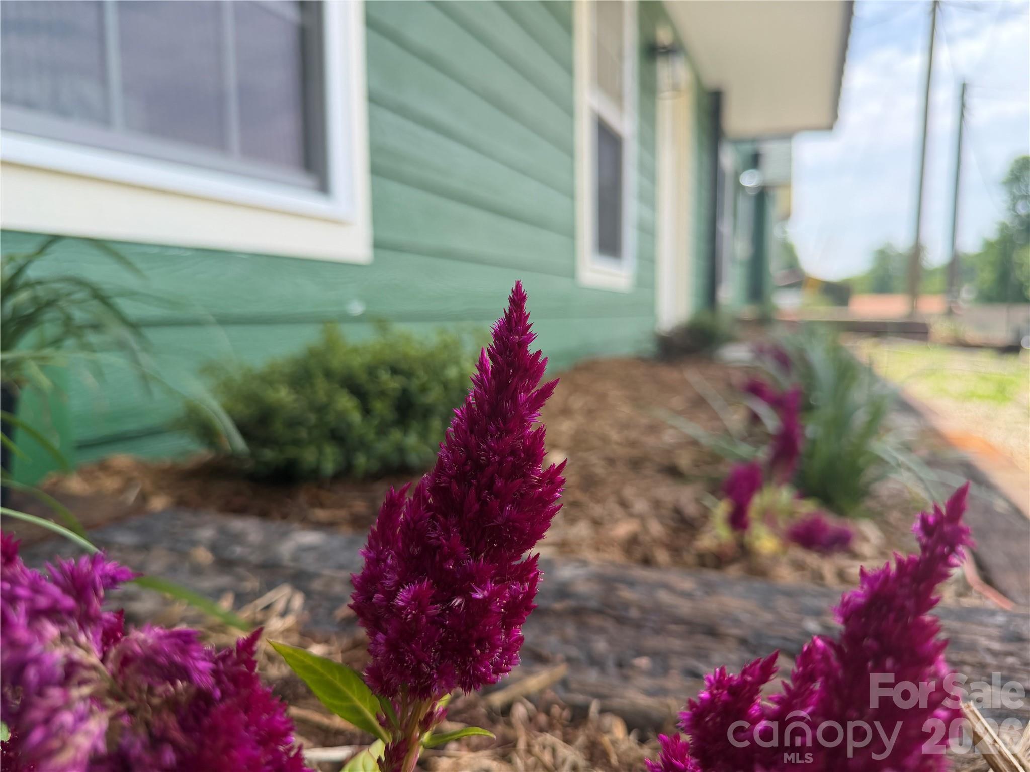 Landscaping outside of apartment - 68 Circle Drive, Marion