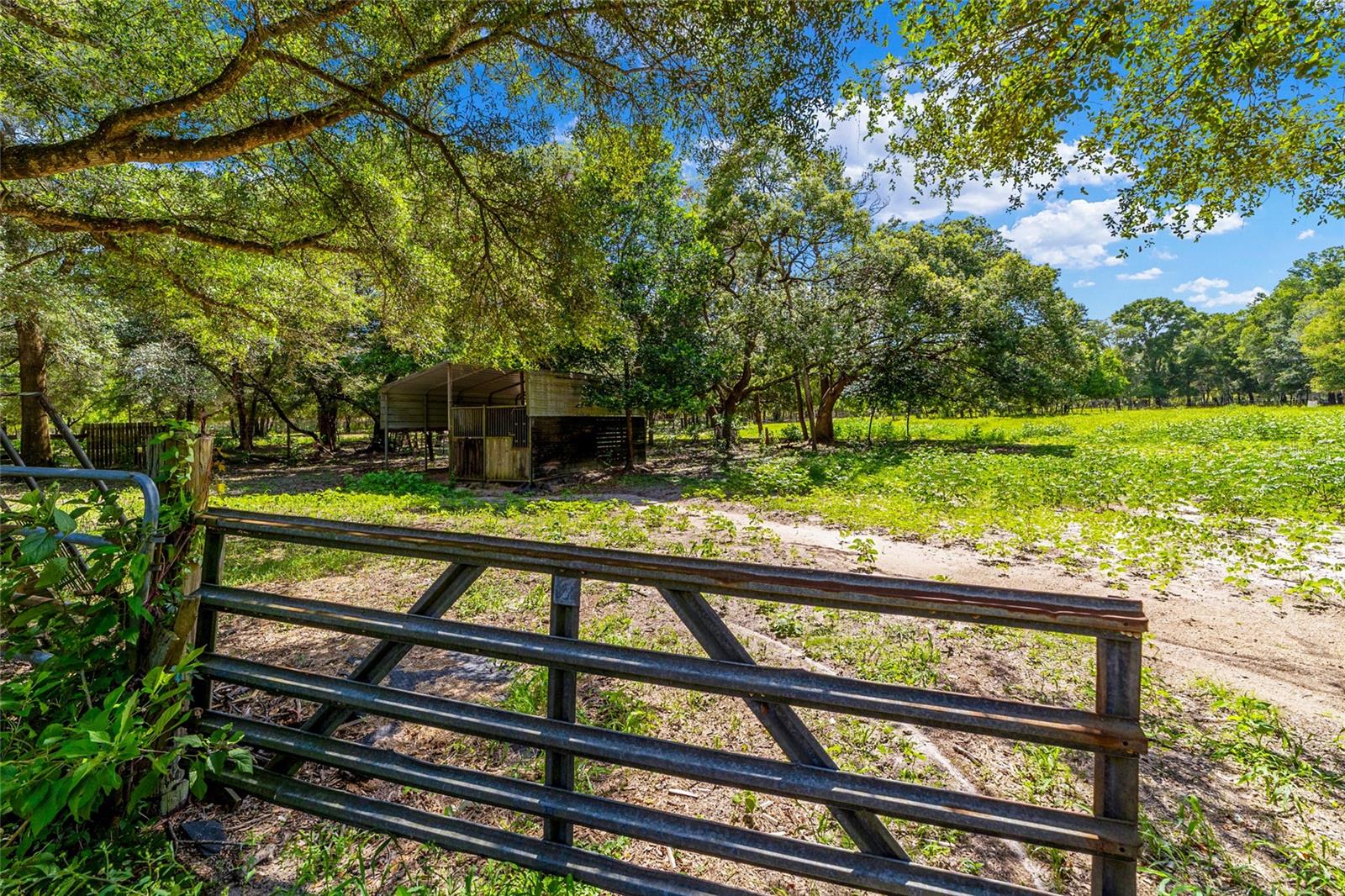 Single Family Residence at 11768 N GATLEN AVE, DUNNELLON, photo 26 of 50