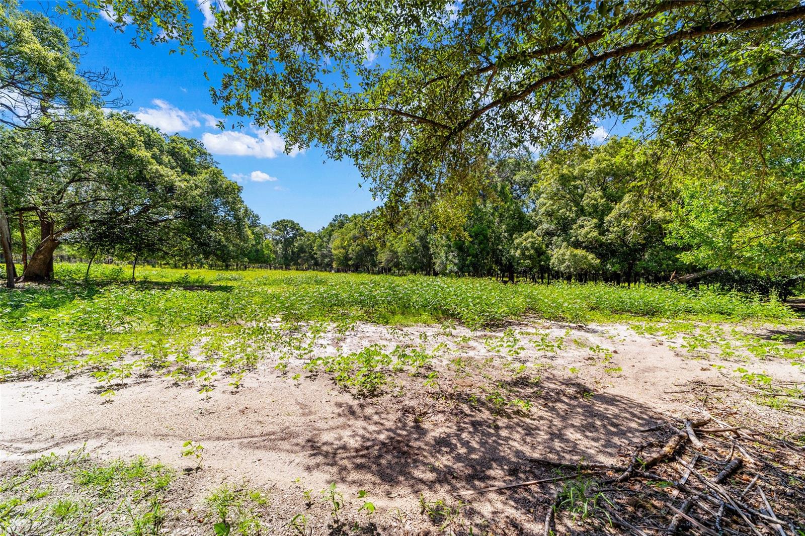 Single Family Residence at 11768 N GATLEN AVE, DUNNELLON, photo 27 of 50