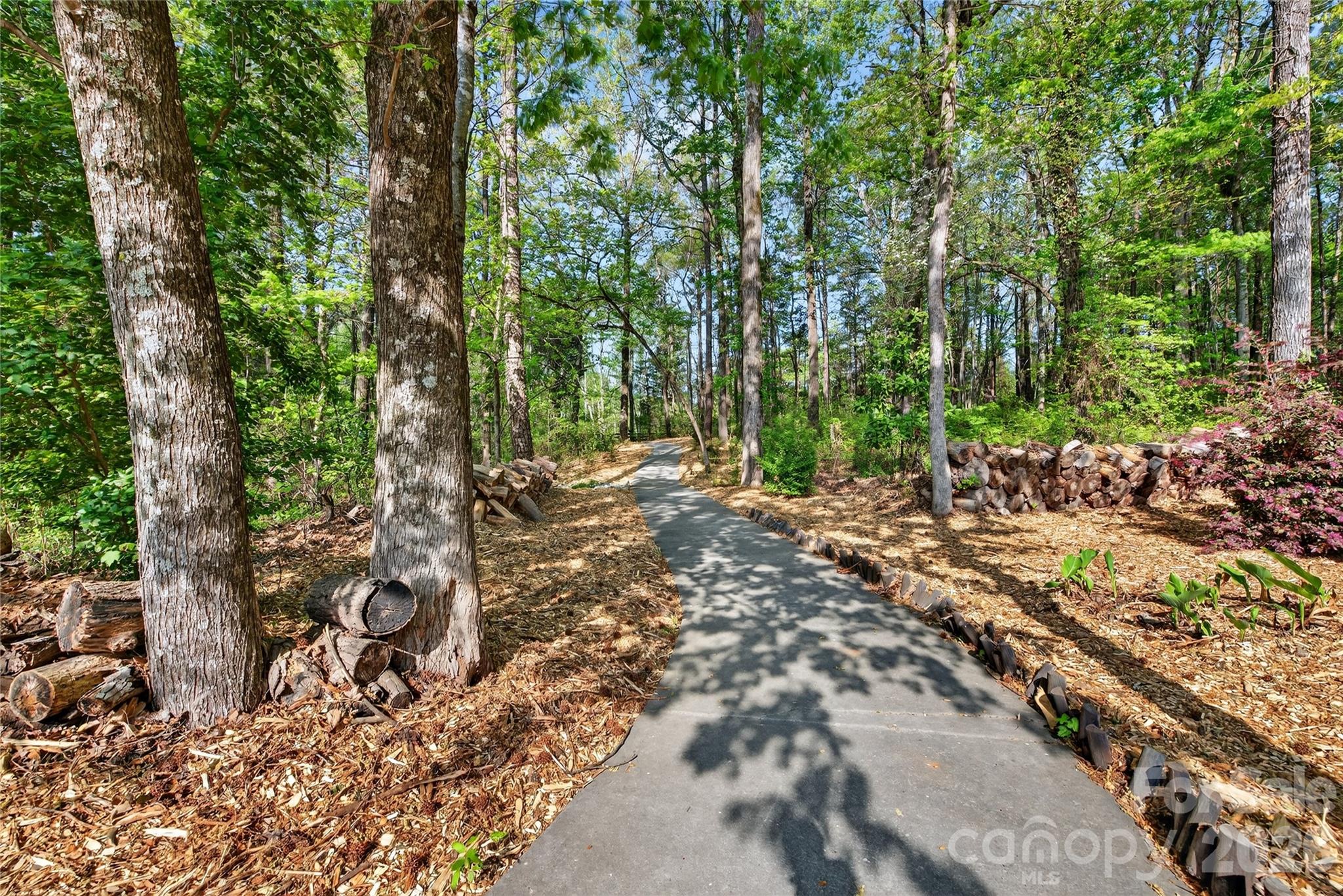 Wooded Walking Path 2 - 15109 Ockeechobee Court, Mint Hill