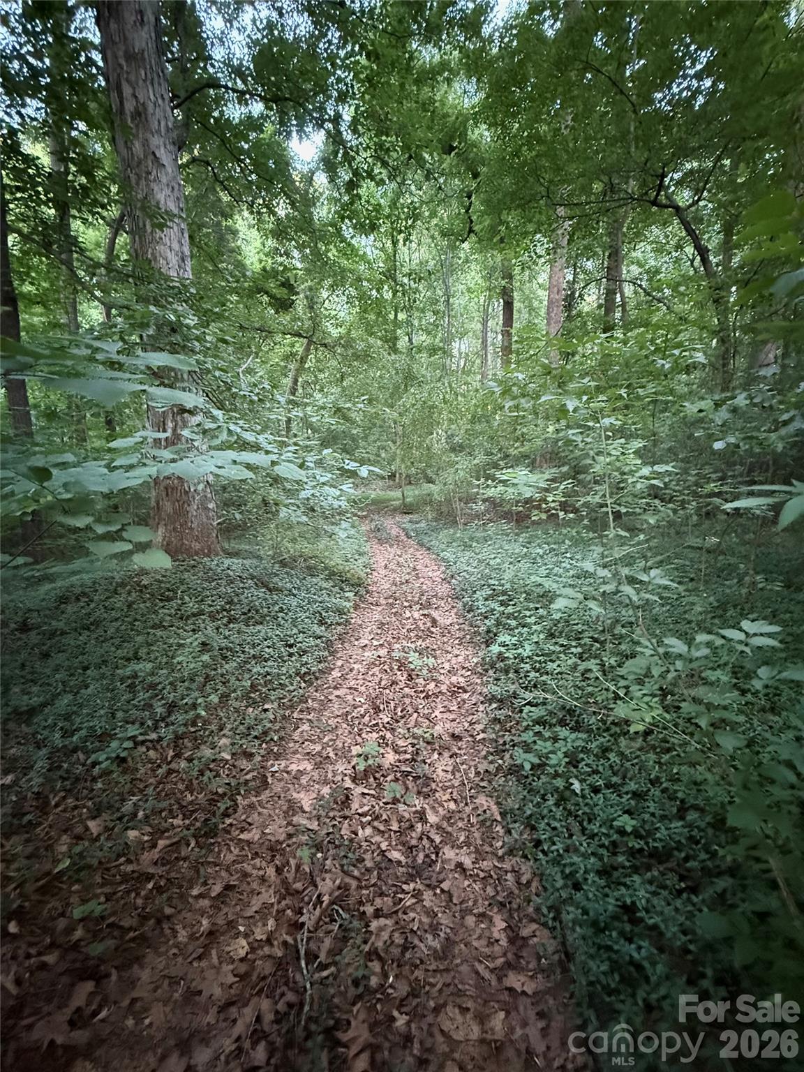 Trail behind property to pond - 469 Augusta Drive, Statesville