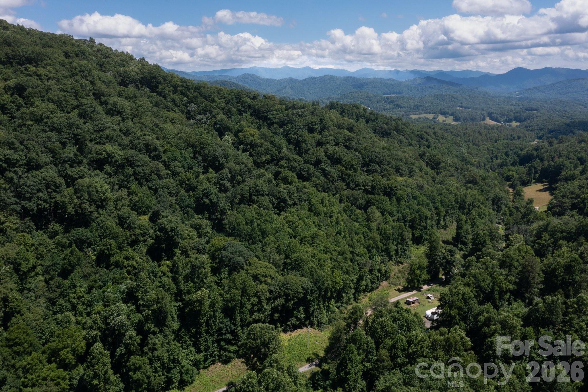 Acreage at TBD Wooded Mountain Trail, Mars Hill, photo 4 of 30