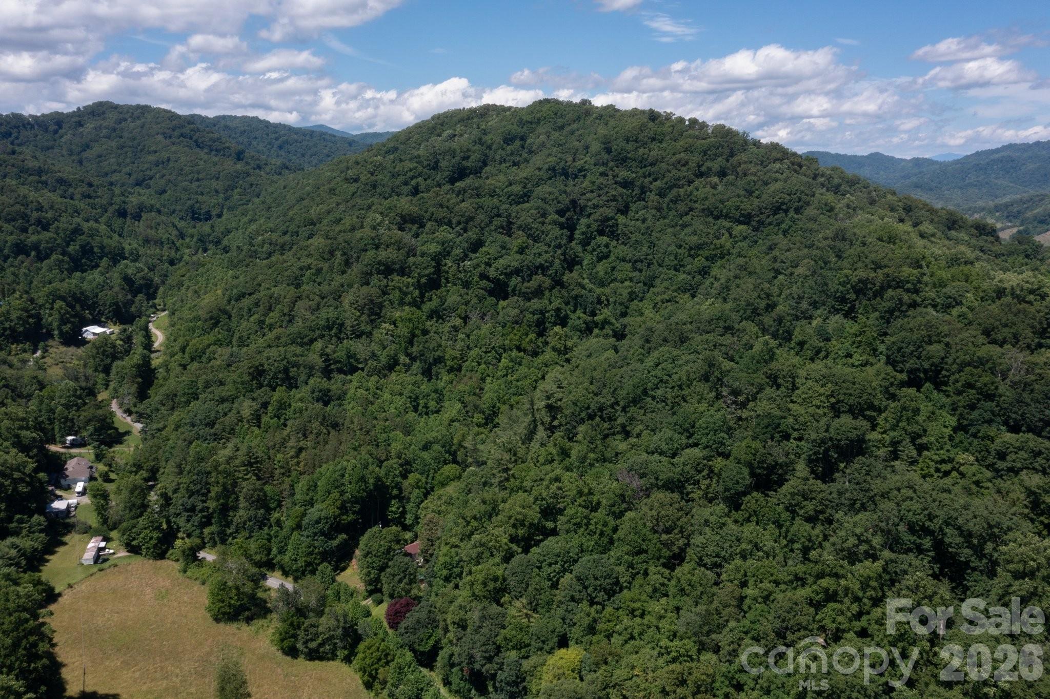 Acreage at TBD Wooded Mountain Trail, Mars Hill, photo 2 of 14