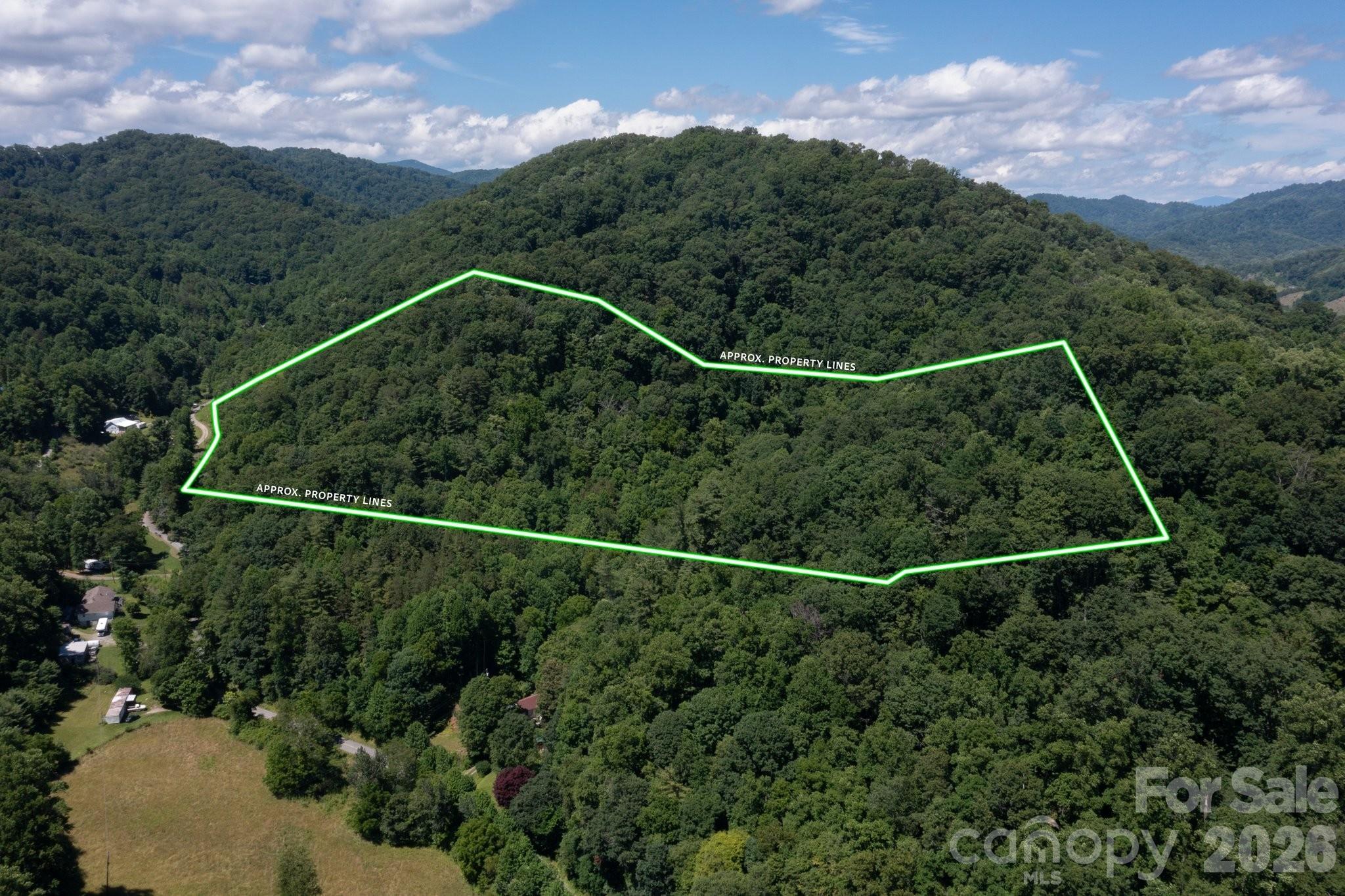 TBD Wooded Mountain Trail