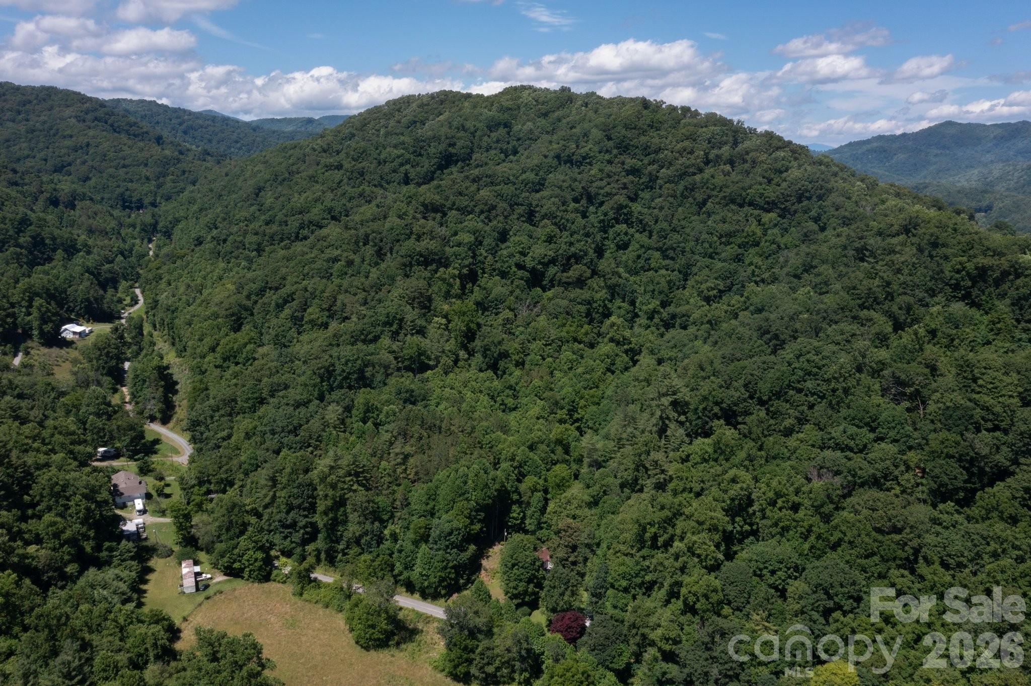 Acreage at TBD Wooded Mountain Trail, Mars Hill, photo 4 of 19