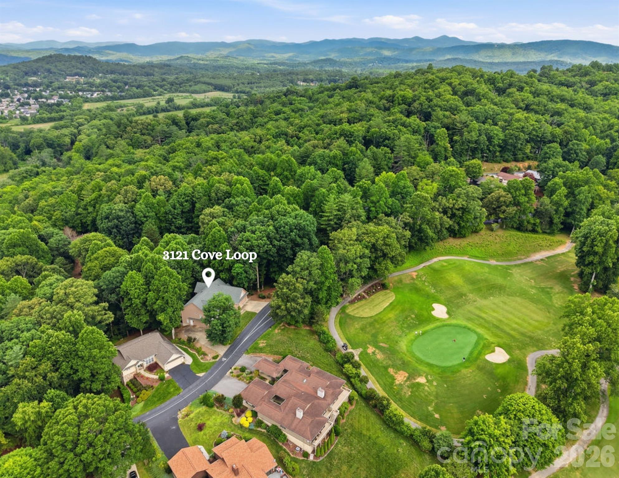 Single Family Residence at 3121 Cove Loop Road, Hendersonville, photo 2 of 48