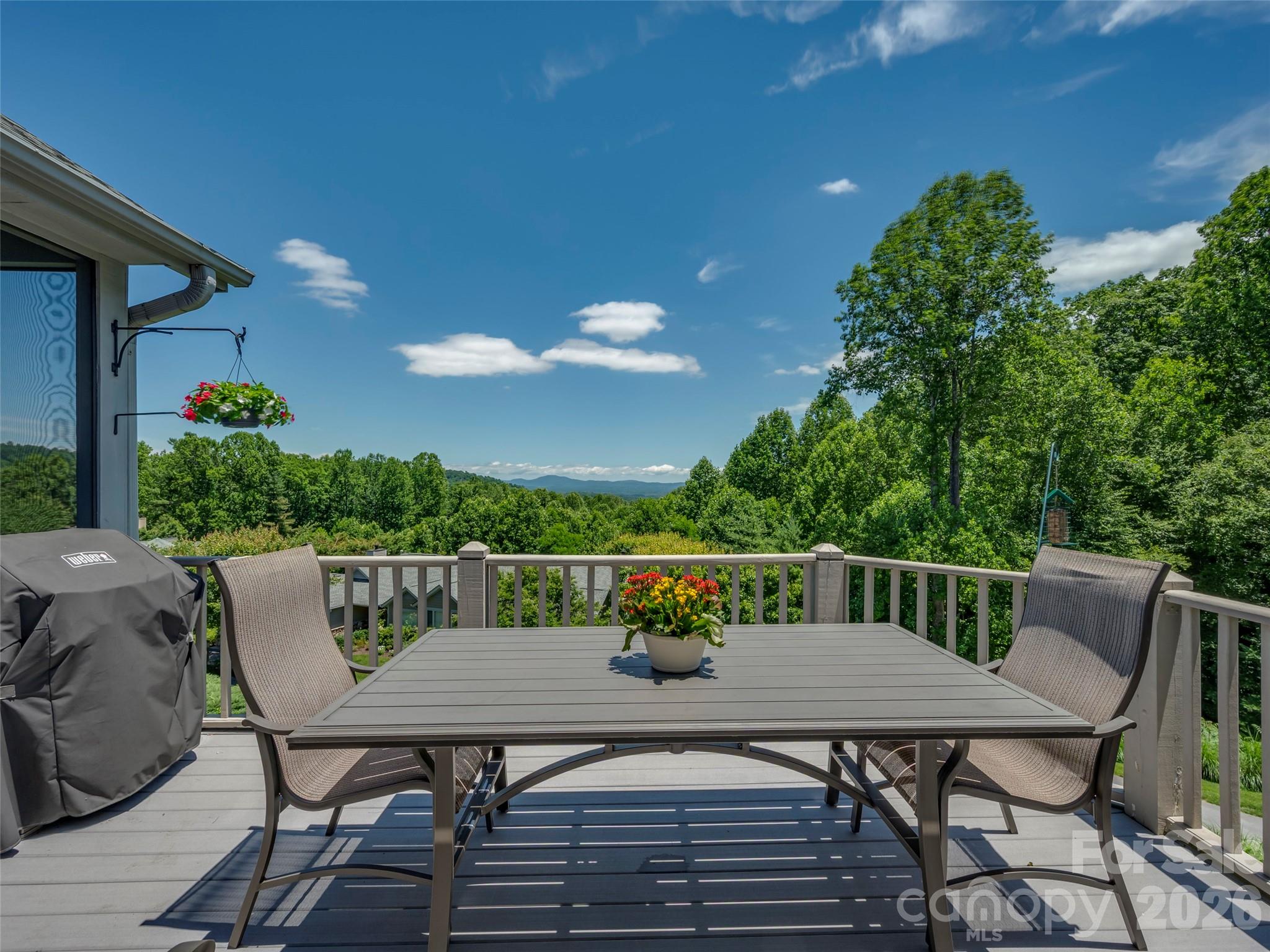 Townhouse at 2 Meadow Ridge Lane, Hendersonville, photo 27 of 48