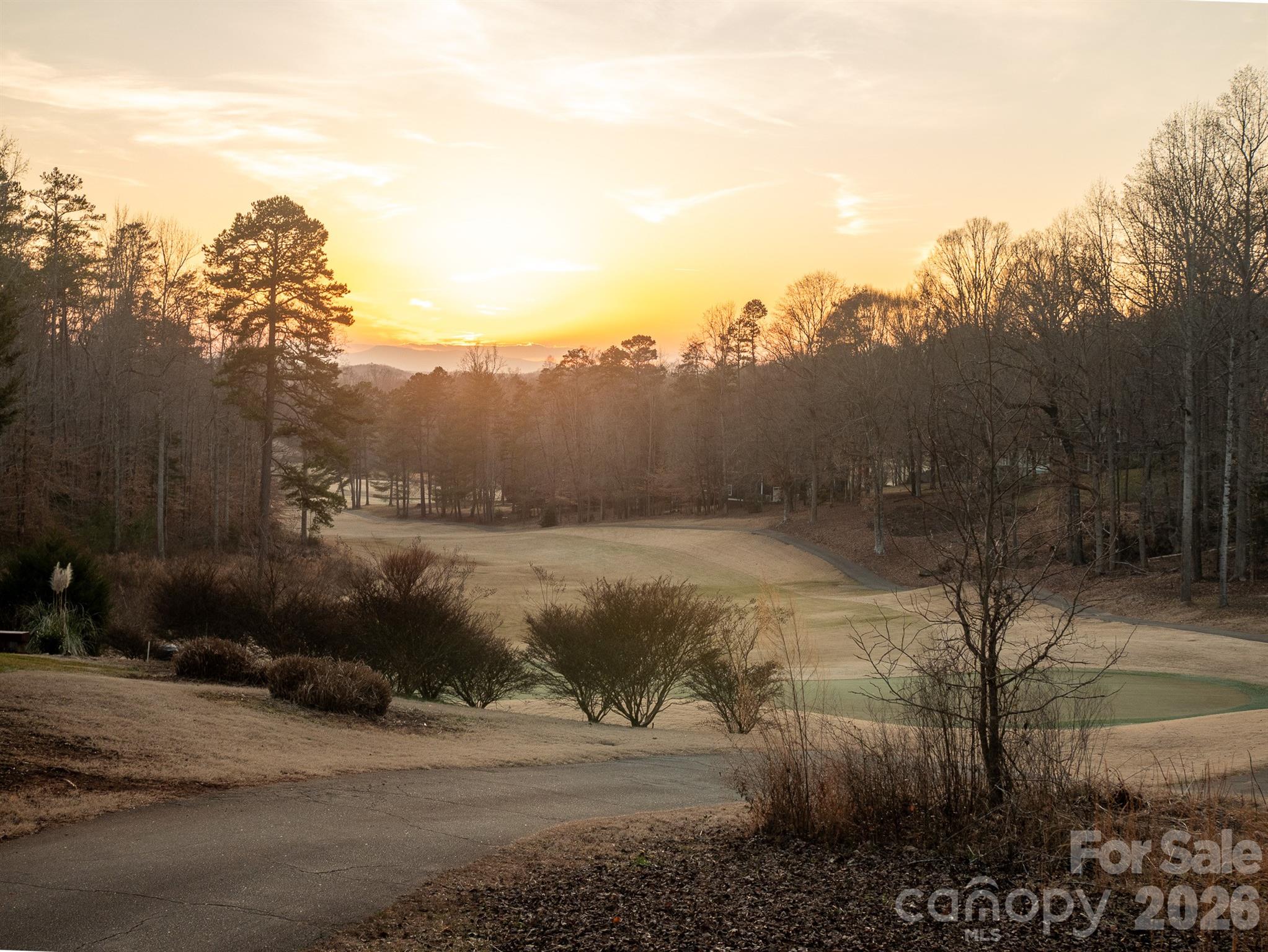 Lot at 0 Plantation Drive, Rutherfordton, photo 2 of 6
