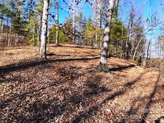 Lot at Lot 17-4 N Coast Drive, Mill Spring, photo 2 of 14