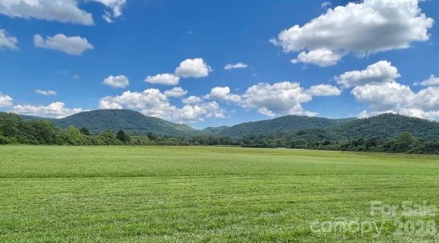 Farm at Mini Farm 3 TBD Coventry Drive, Brevard, photo 2 of 28