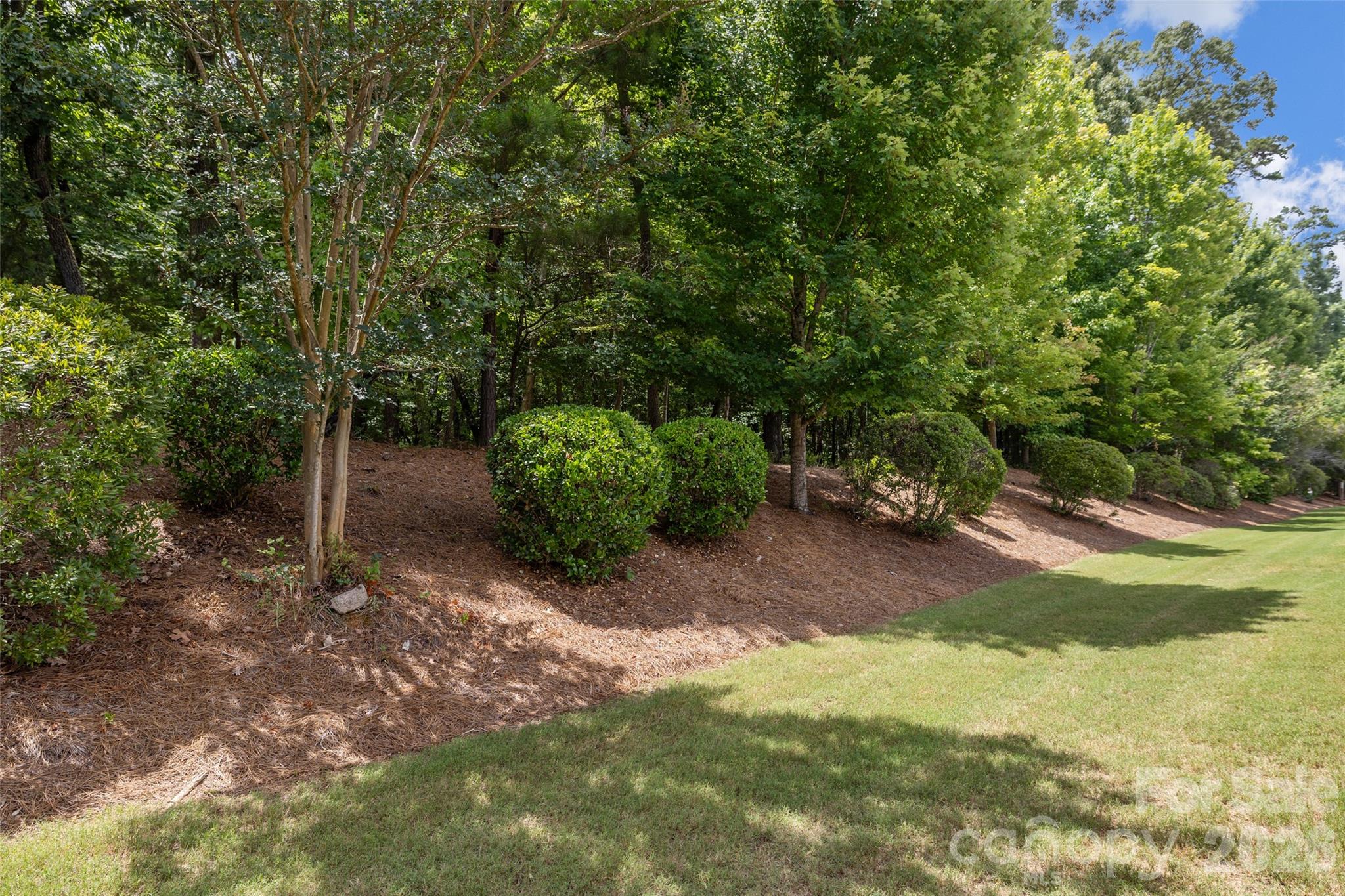 Wooded backyard - 9015 Smokey Hill Lane, Indian Land