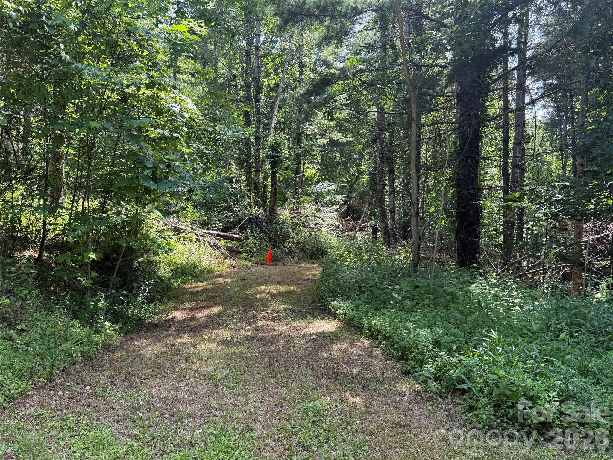Lot at 00000 Apple Farm Road, Bakersville, photo 12 of 28