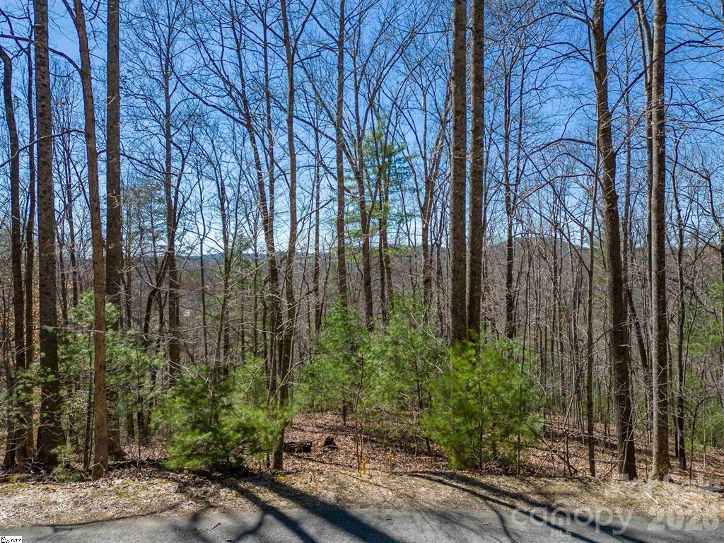 Lot at 180 Overlook Park Drive, Hendersonville, photo 2 of 15