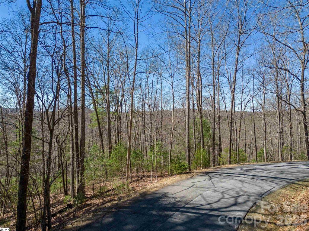 Lot at 180 Overlook Park Drive, Hendersonville, photo 11 of 15