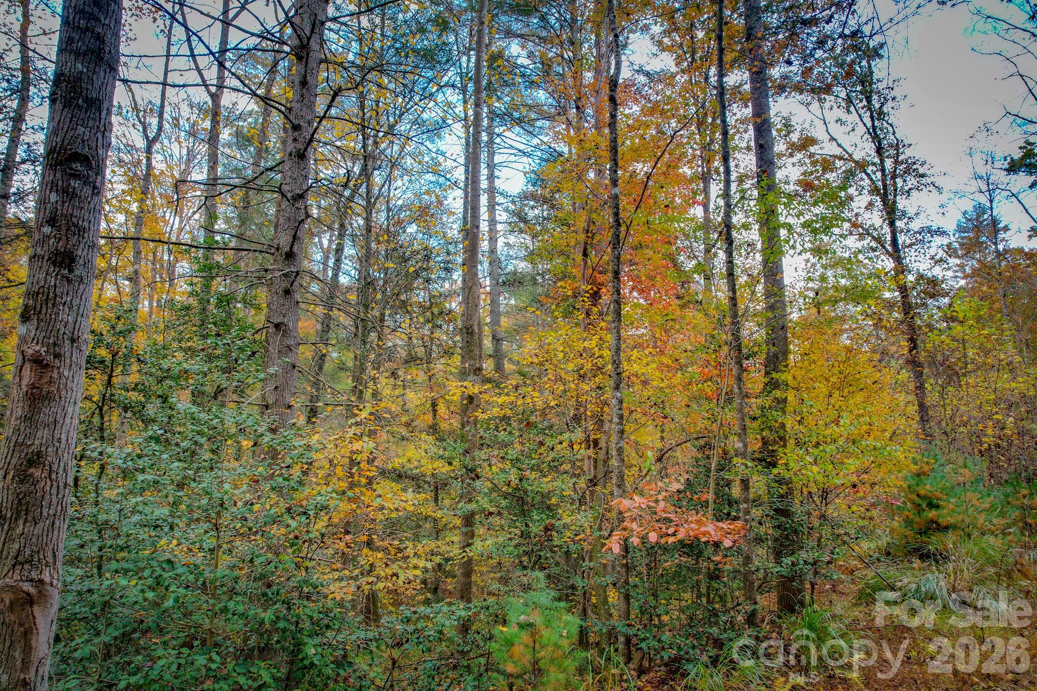 Lot at 00 Grandin Road, Lenoir, photo 6 of 15