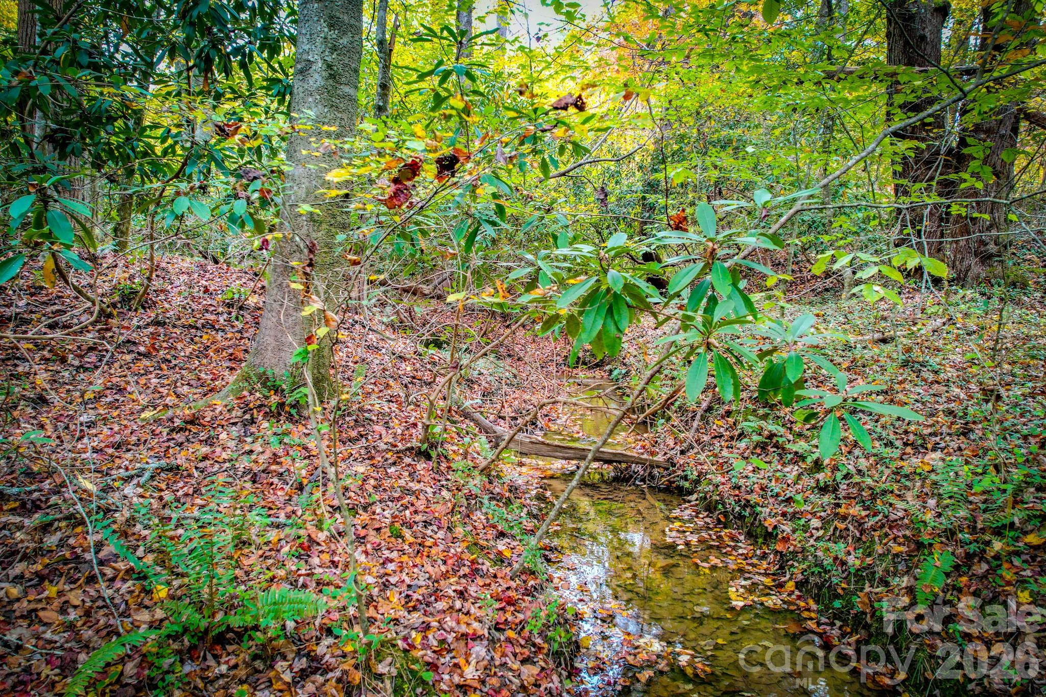Lot at 00 Grandin Road, Lenoir, photo 7 of 15