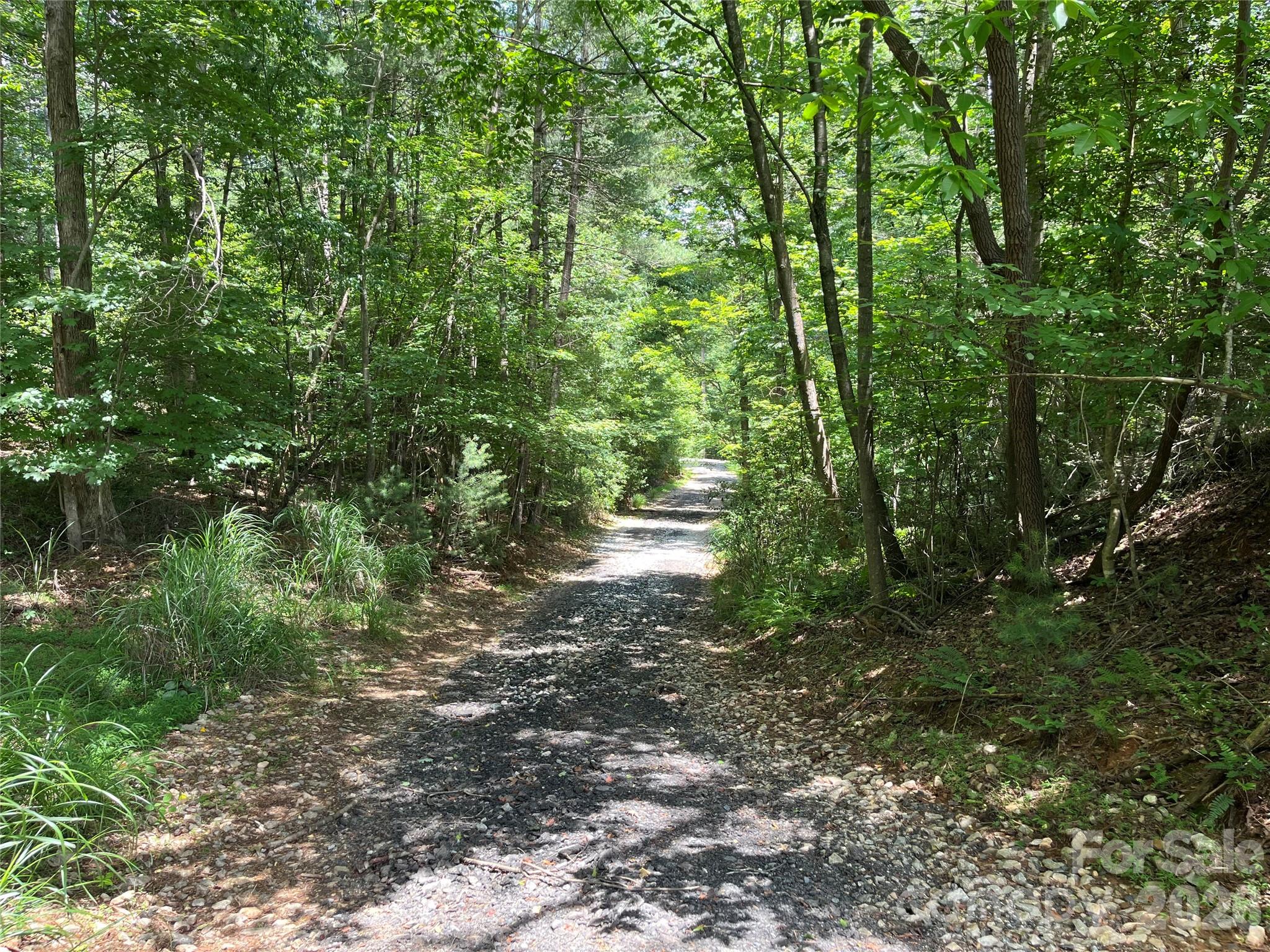 Lot at 00 Grandin Road, Lenoir, photo 10 of 15