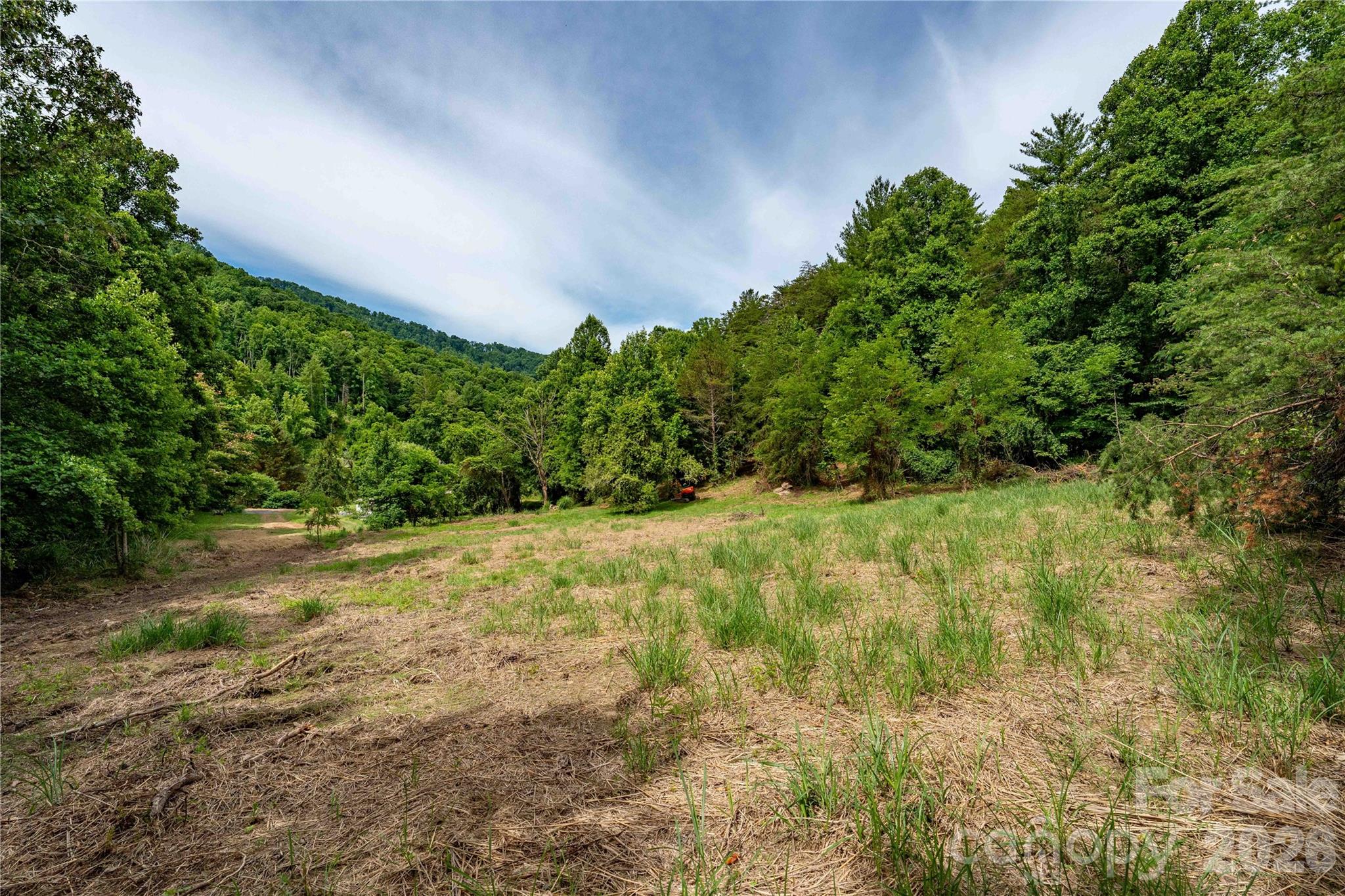 Acreage at 9999 Morgan Branch Road, Weaverville, photo 2 of 24