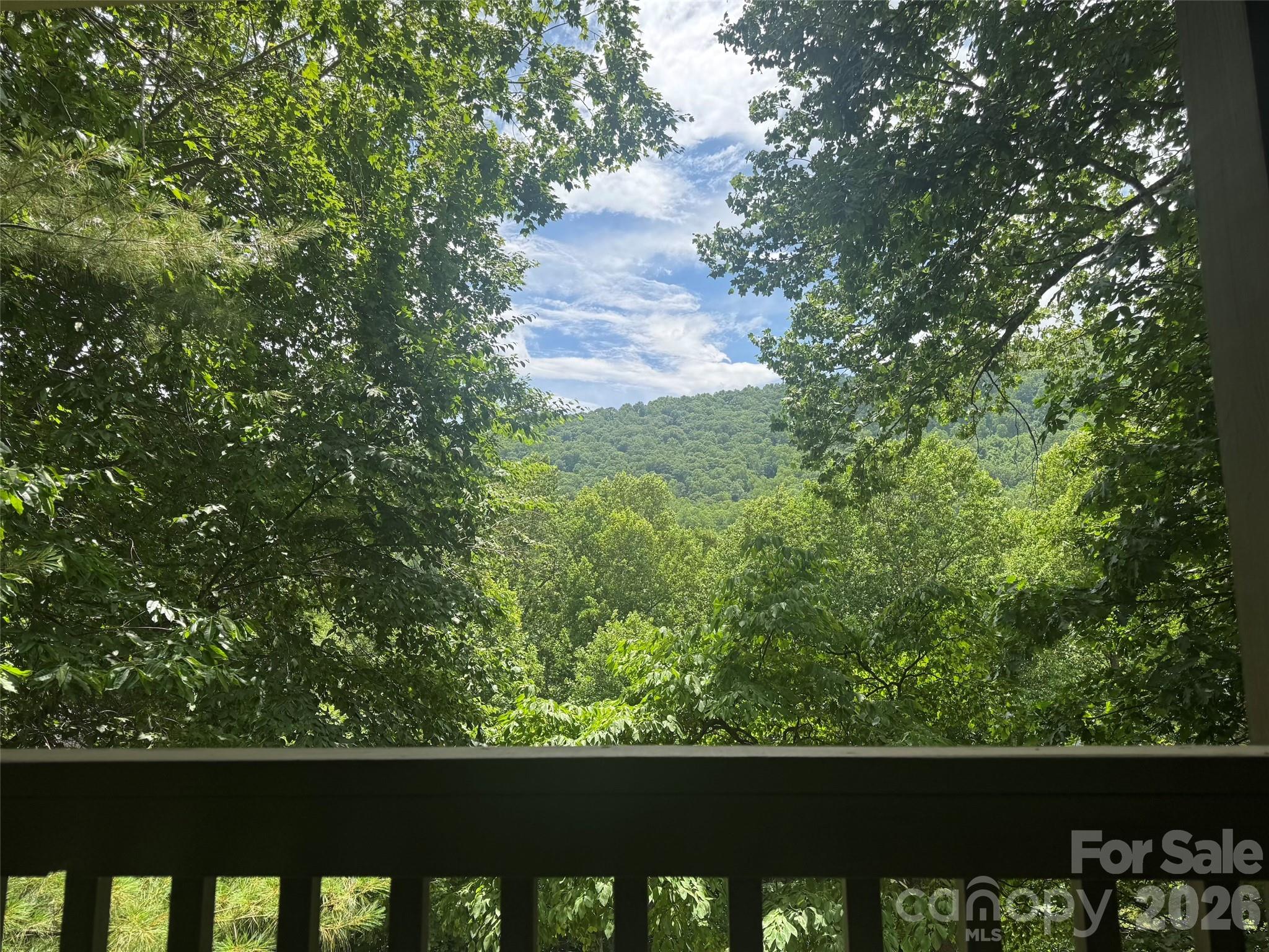 The view from the porch - 840 and 856 Stoney Stream Lane, Arden