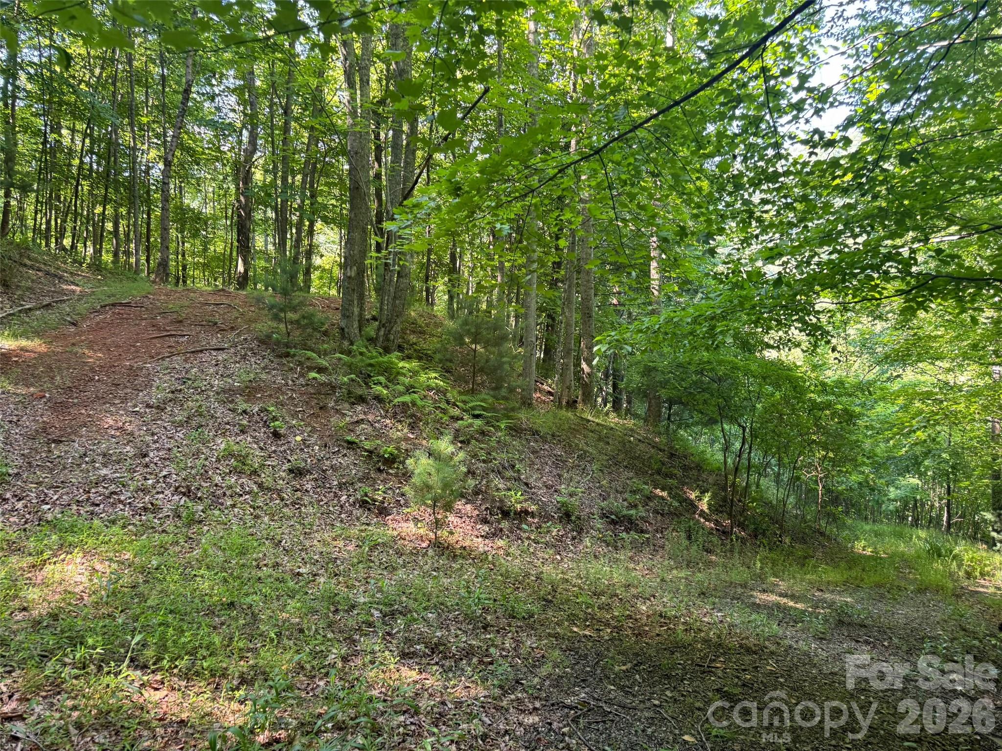 Lot at 856 Stoney Stream Lane, Arden, photo 3 of 10
