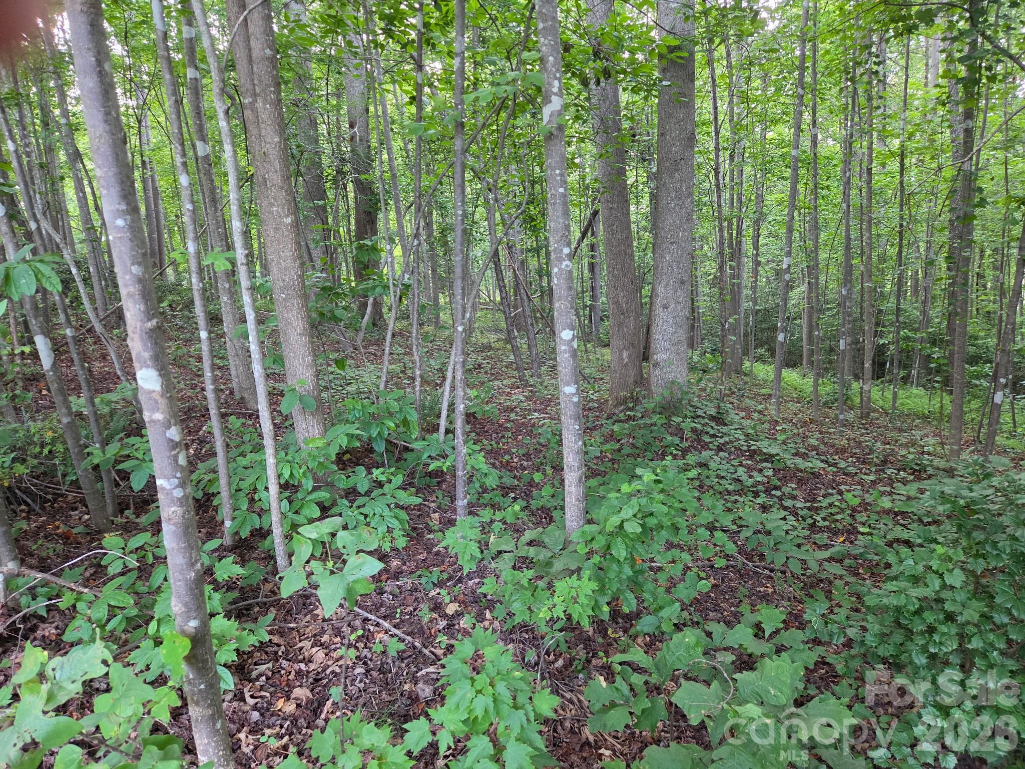 Lot at TBD W Meadow Parkway, Moravian Falls, photo 11 of 21