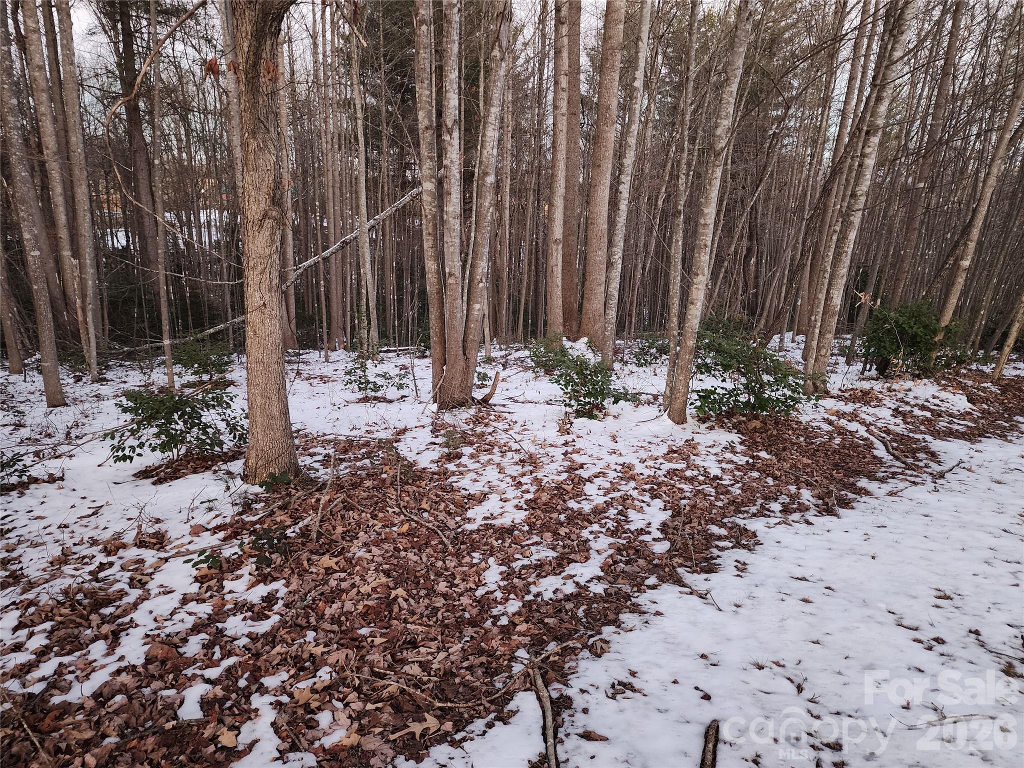 Lot at TBD W Meadow Parkway, Moravian Falls, photo 17 of 21