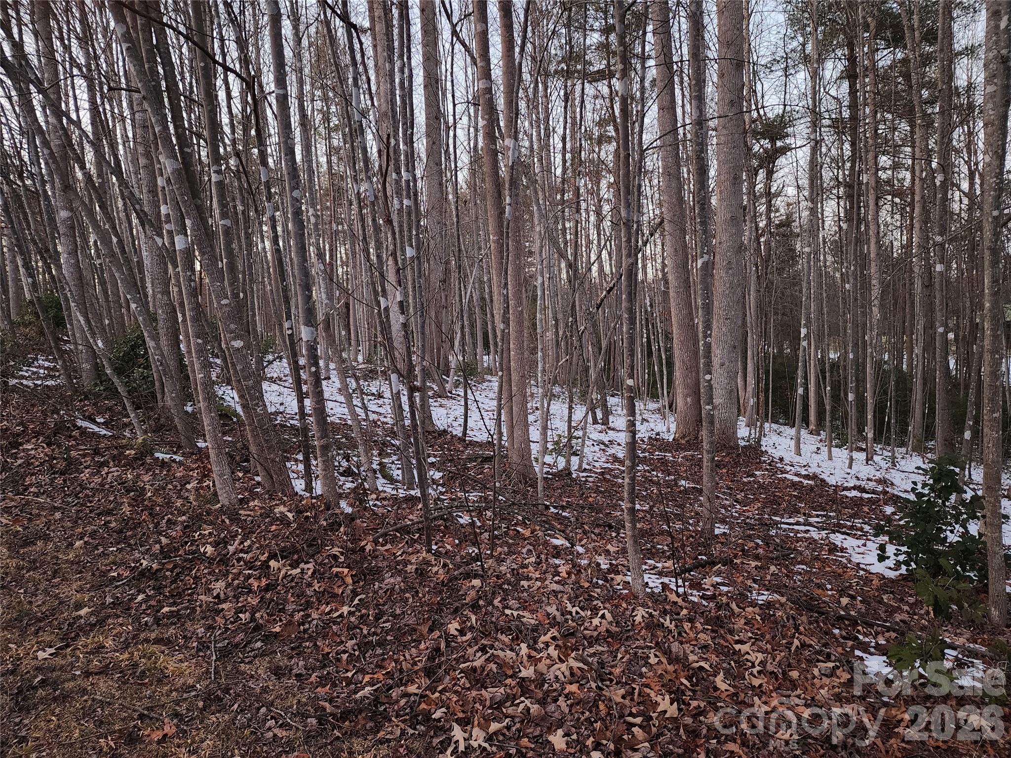 Lot at TBD W Meadow Parkway, Moravian Falls, photo 19 of 21