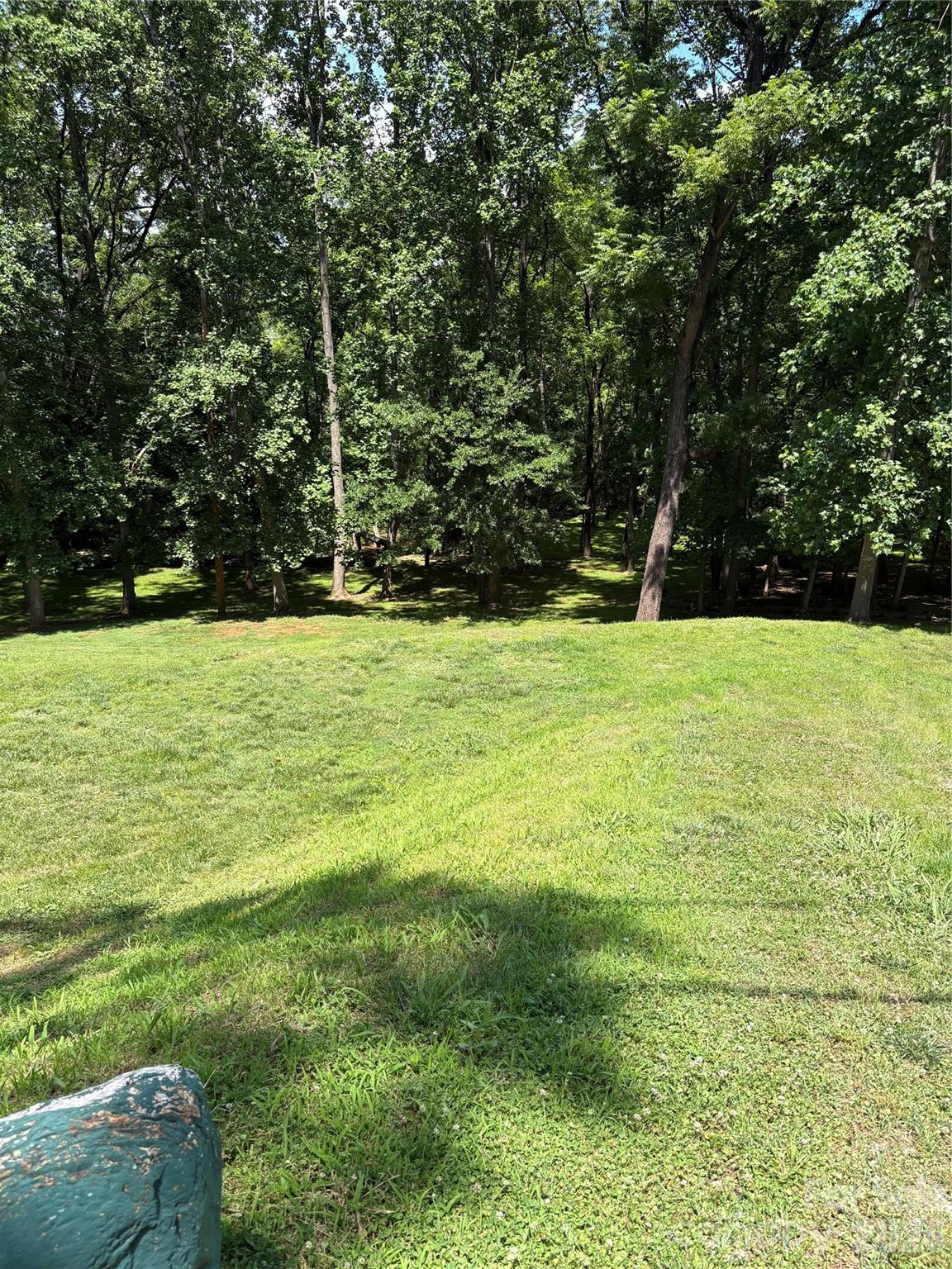 Back Yard - 125 Lane Street, Morganton