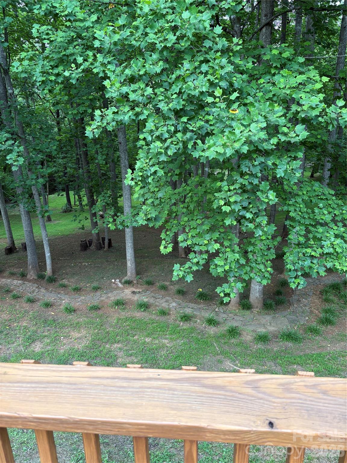 View of the back yard - 125 Lane Street, Morganton