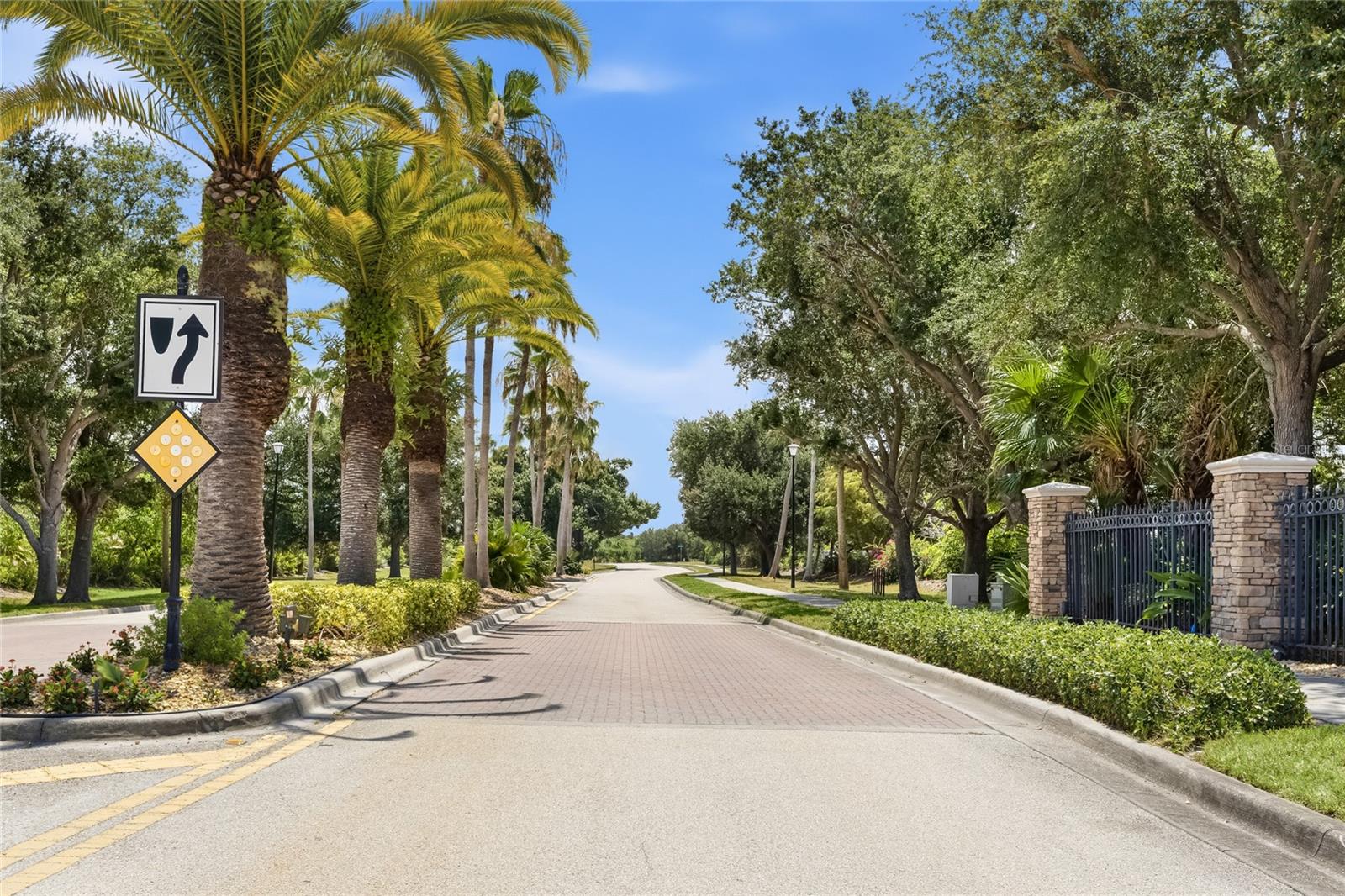Palm tree lined street down to the entry of Rapalo Community - 24413 BANDONI PL, VENICE