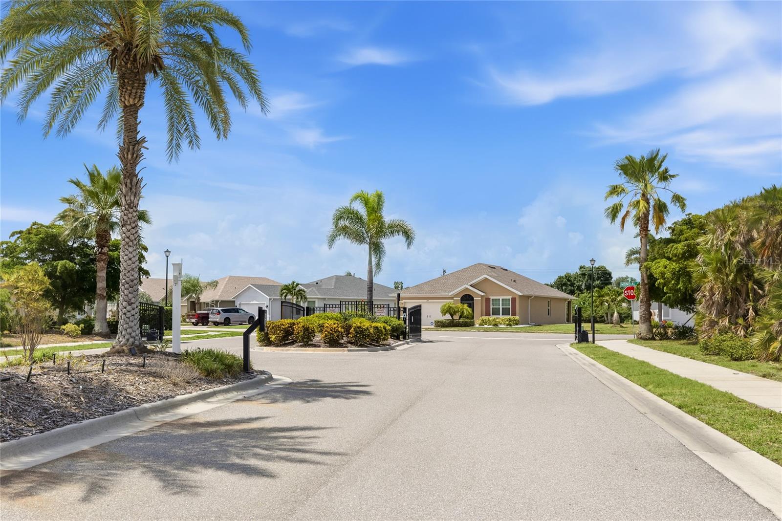 Palm tree lined street down to the entry of Rapalo Community - 24413 BANDONI PL, VENICE