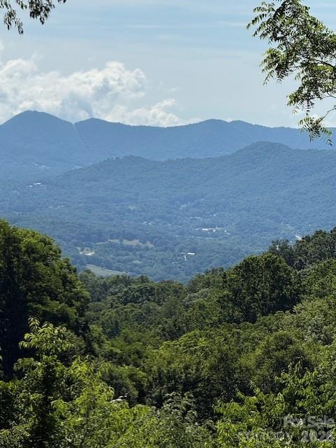 Lot at #38 Sleepy Hollow Drive, Waynesville, photo 2 of 26