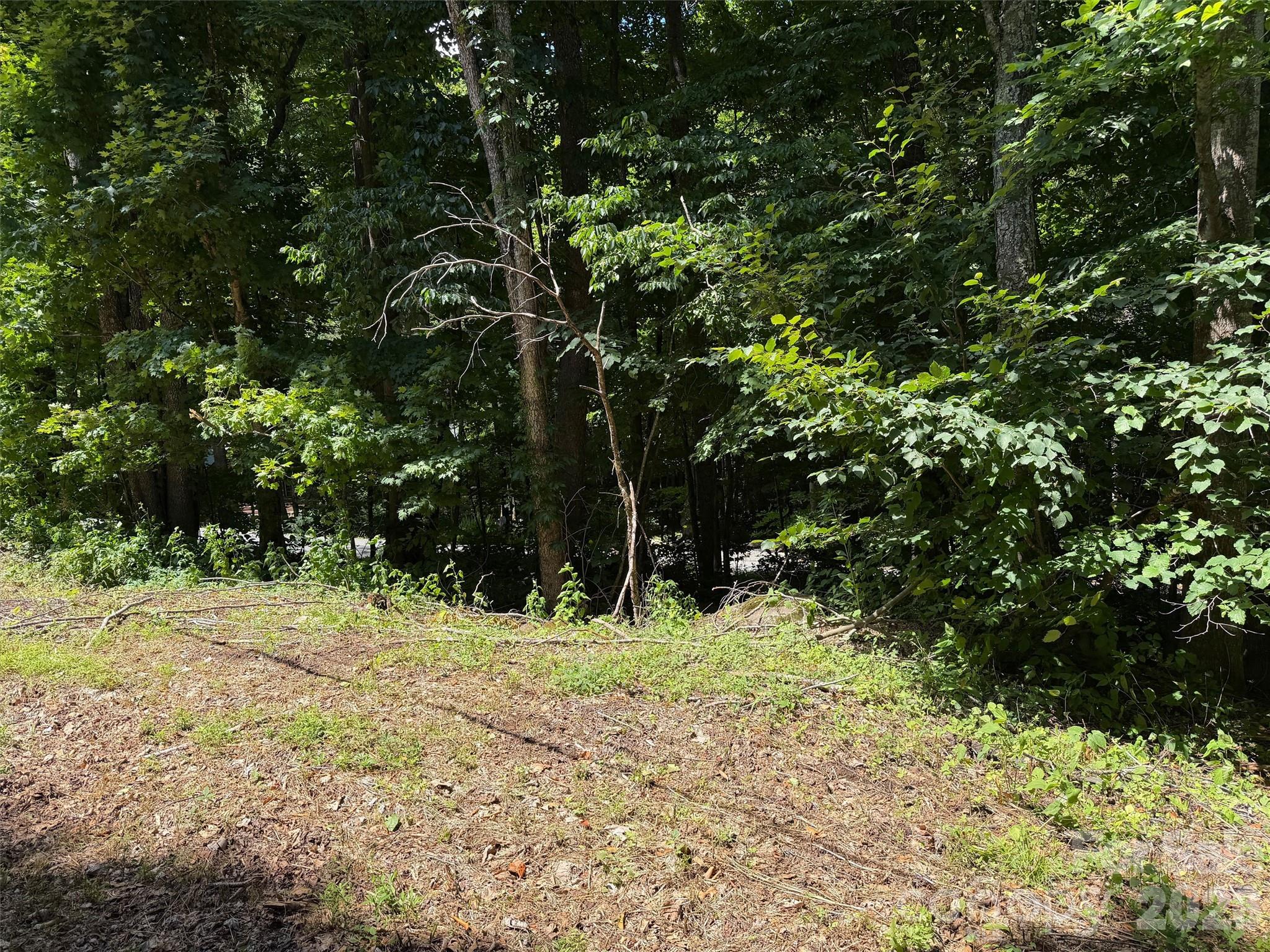 Lot at 0 Serenity Mountain Road, Waynesville, photo 4 of 40