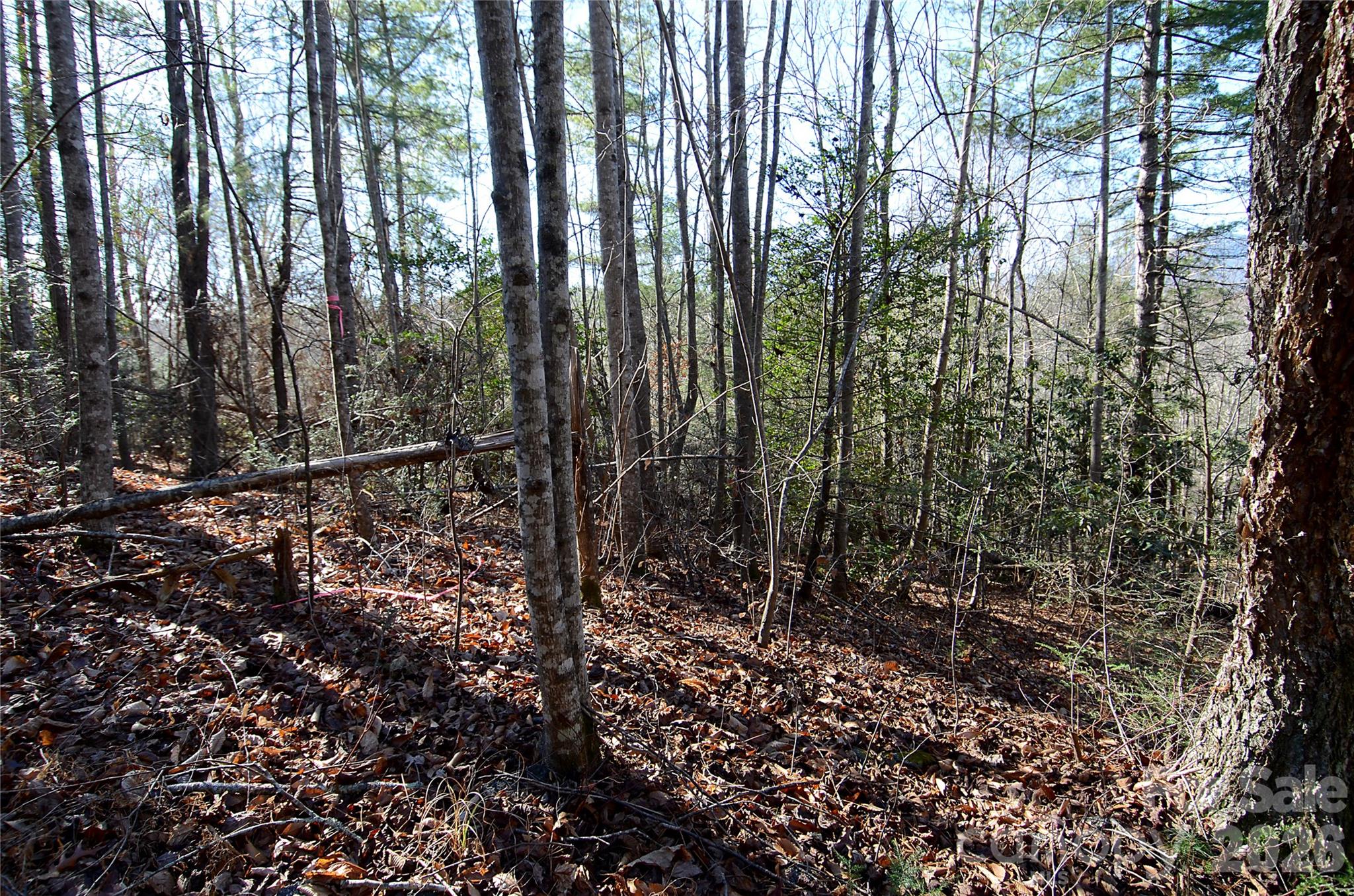 Lot at 0 Wildwood Mountain Lane, Marion, photo 2 of 4