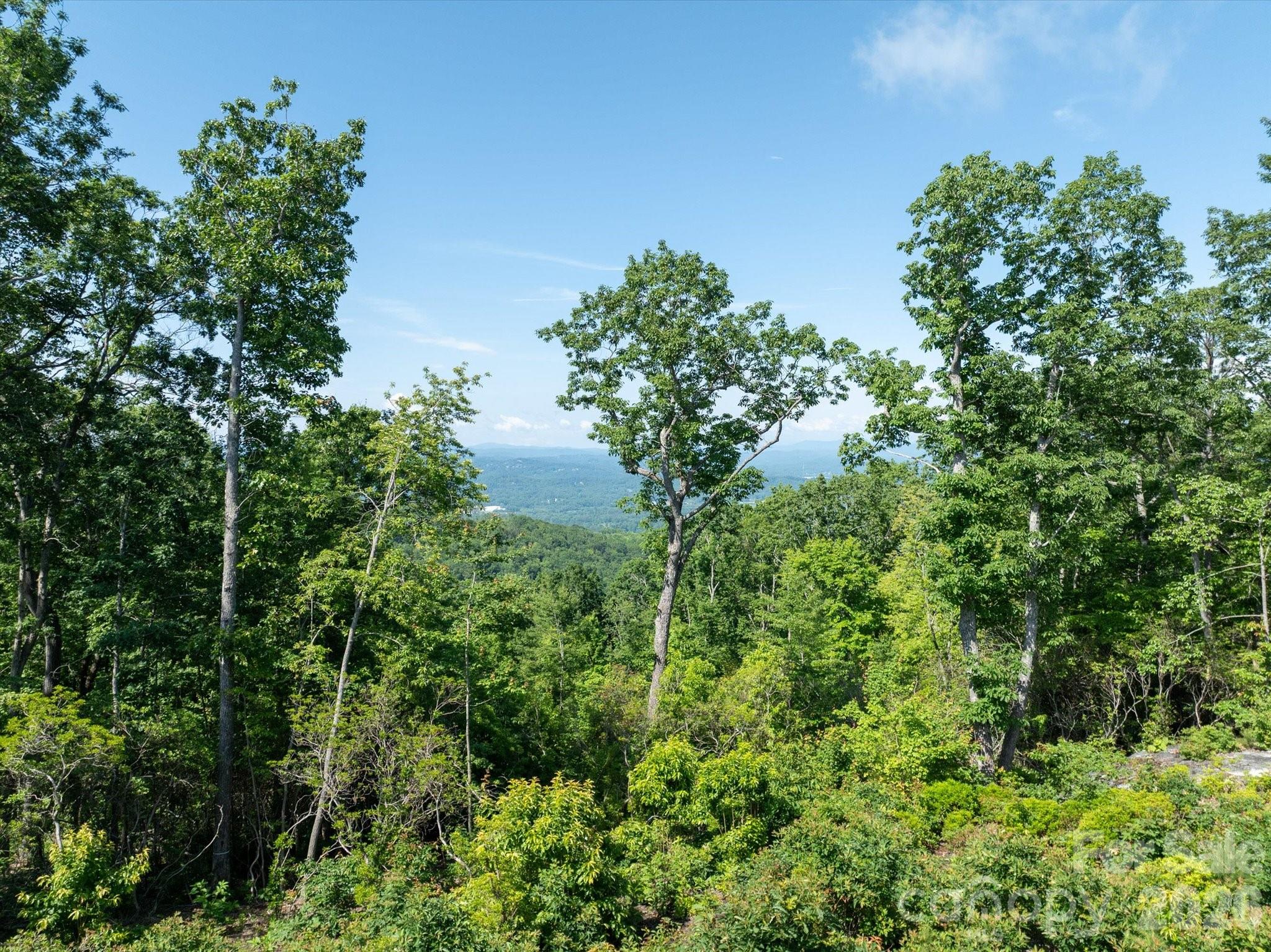 View from Lot Further Back Showing Main Floor View - 99999 Mountain Grove Lane, Fletcher