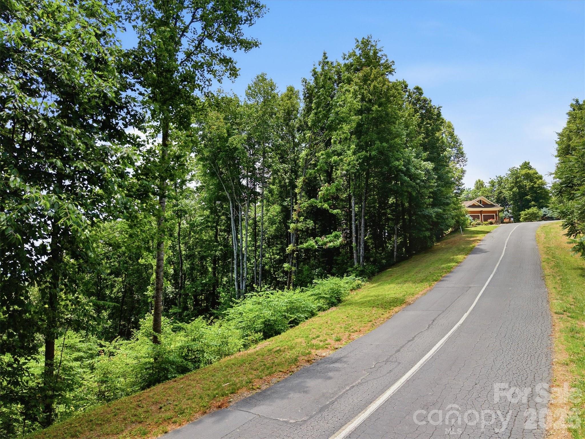 Lot at 1288 Johns Ridge Parkway, Lenoir, photo 3 of 33