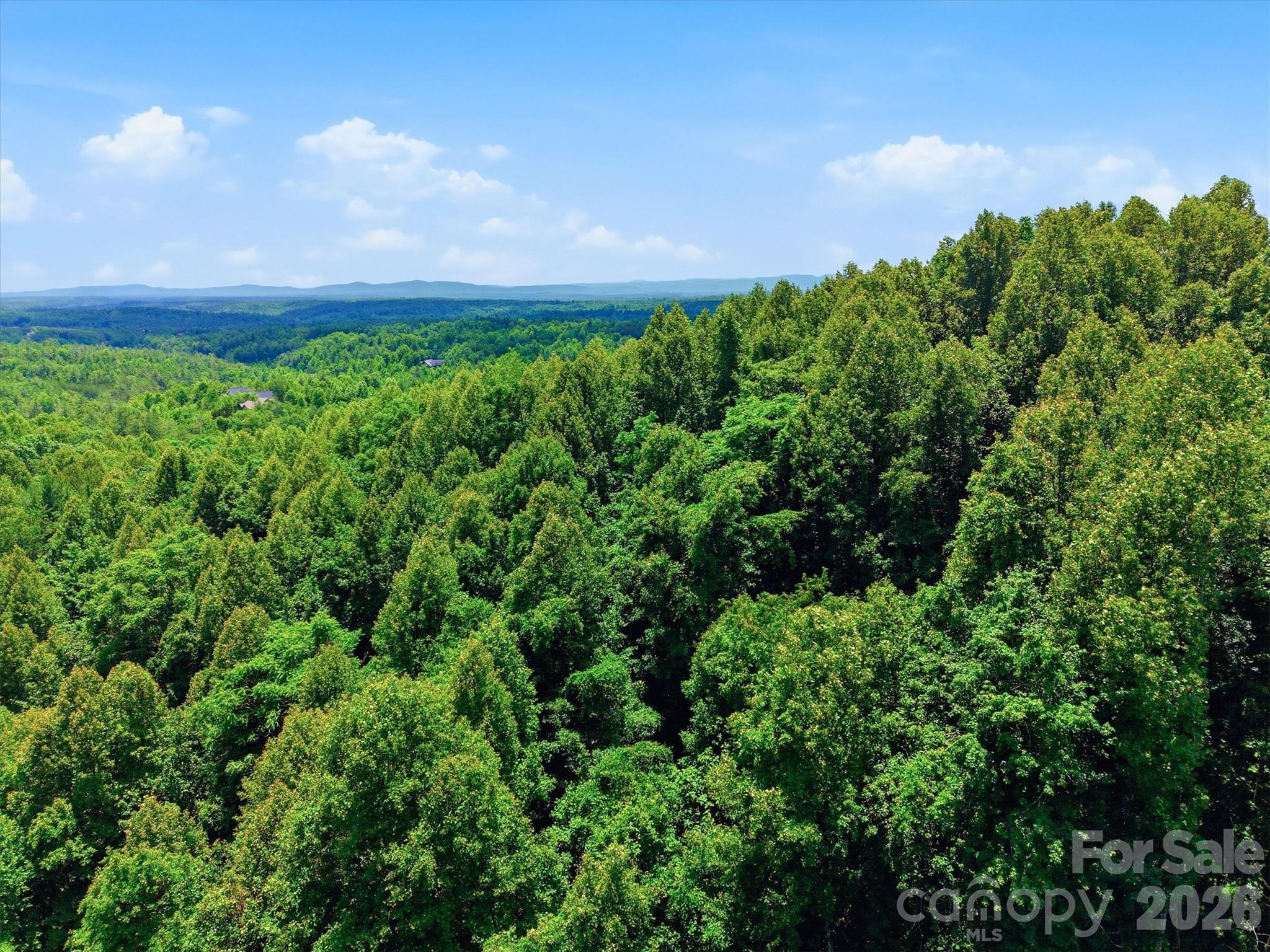 Lot at 1288 Johns Ridge Parkway, Lenoir, photo 6 of 33