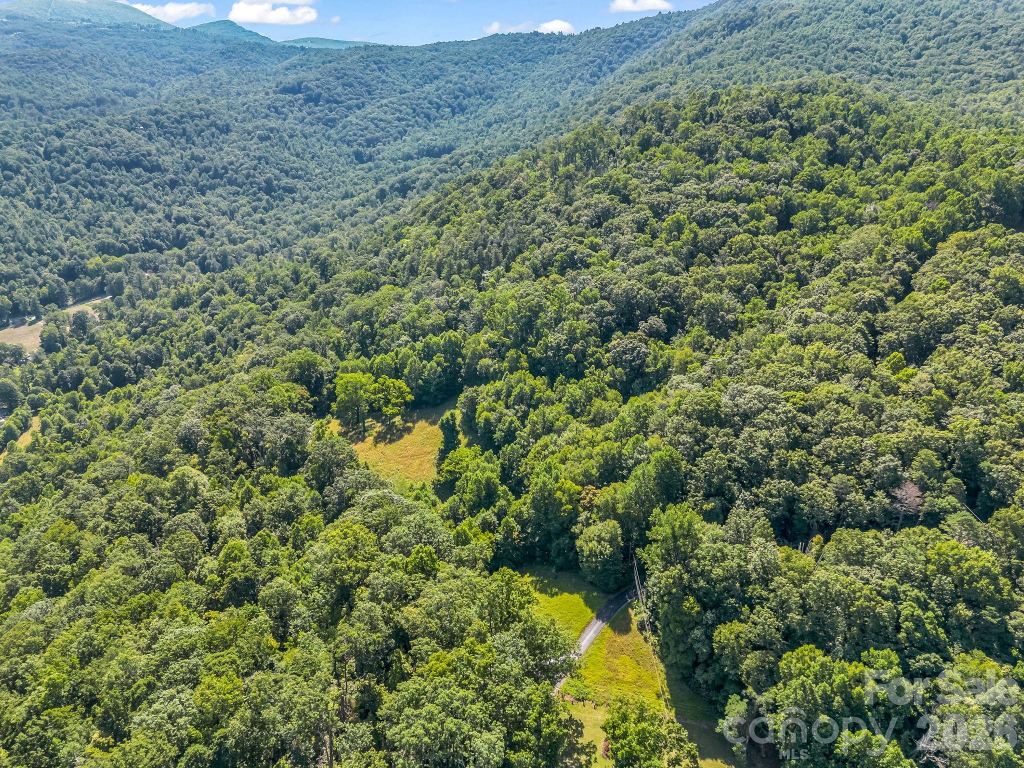 Acreage at 0 Vineyard Hill Drive, Fletcher, photo 2 of 19