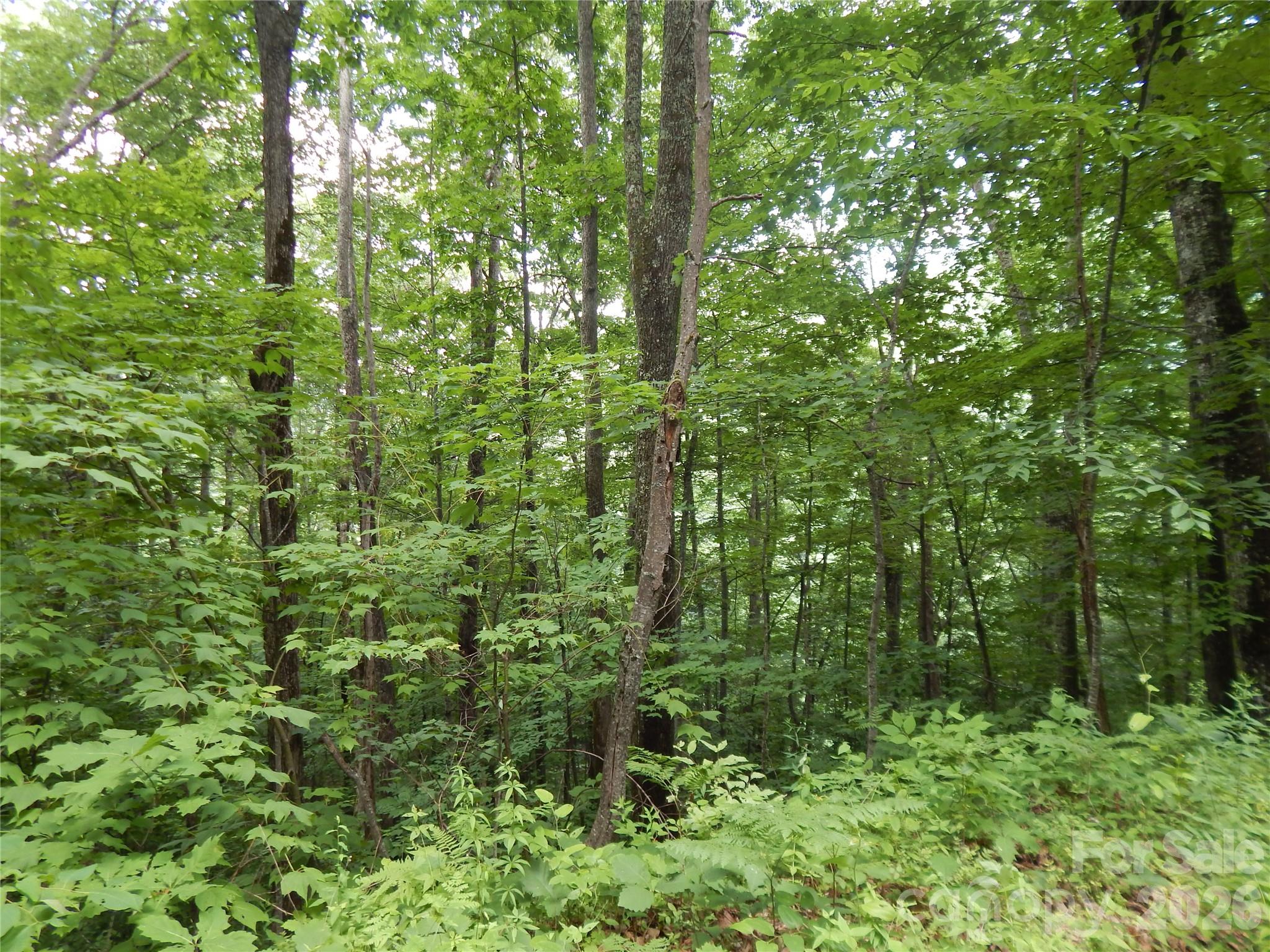 Lot at 00 Hoot Owl Bill Road, Maggie Valley, photo 2 of 37
