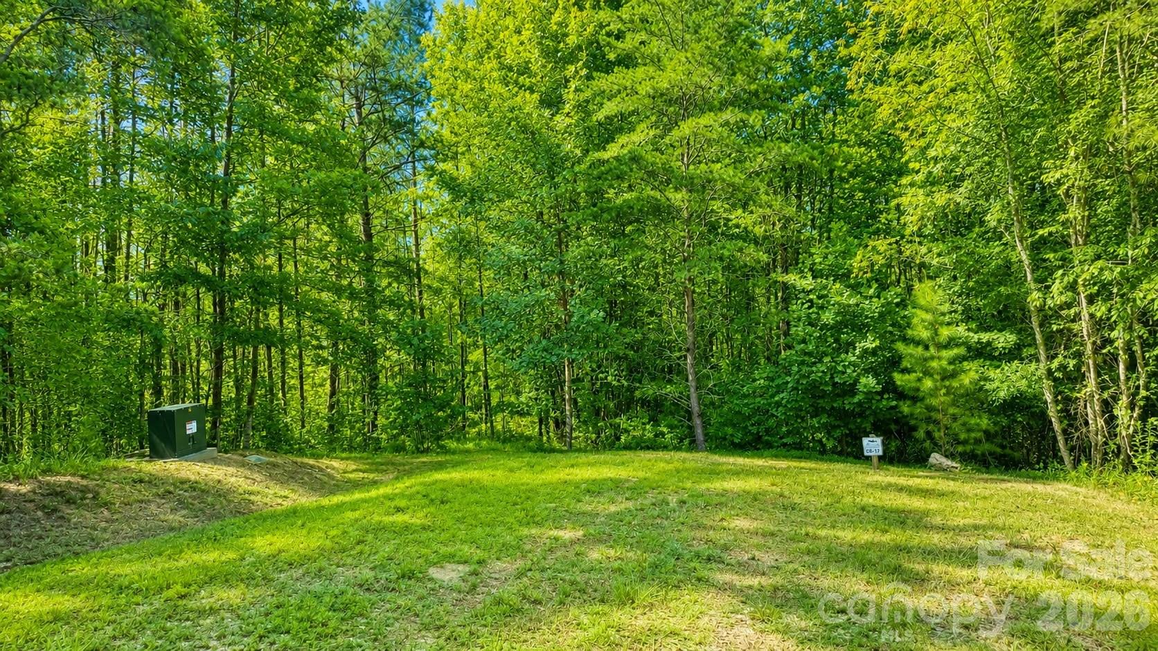 Lot at CB17 Emerald Court, Lenoir, photo 2 of 31