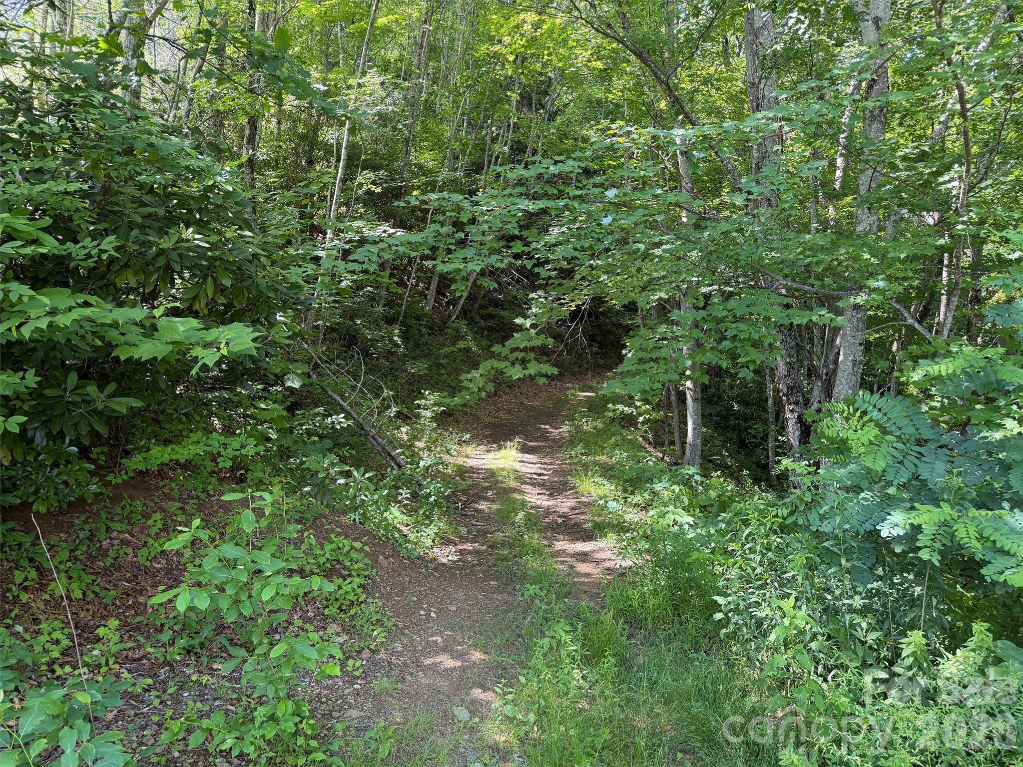 Lot at 00 Rising Sun Road, Waynesville, photo 2 of 18