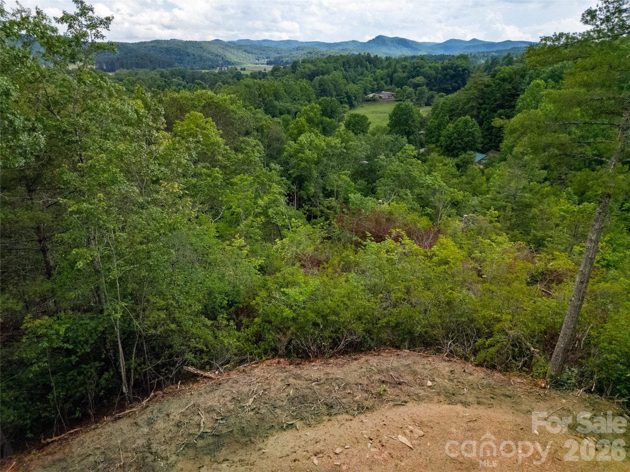 Lot at TBD Cherryfield Loop Road, Brevard, photo 2 of 15