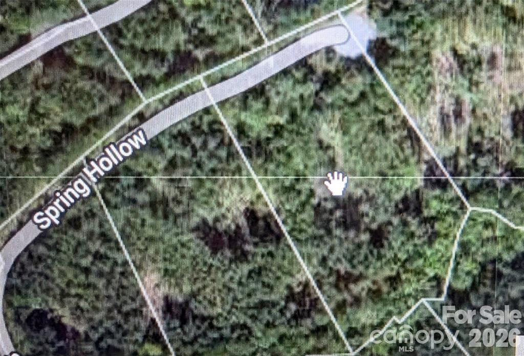 Lot at 14 Spring Hollow Road, Lake Lure, photo 6 of 12