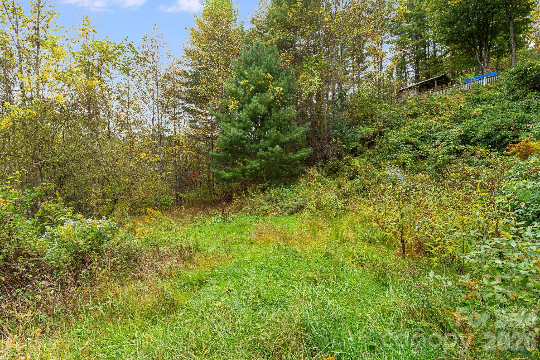 Lot at 211 Evergreen Road, Burnsville, photo 9 of 16
