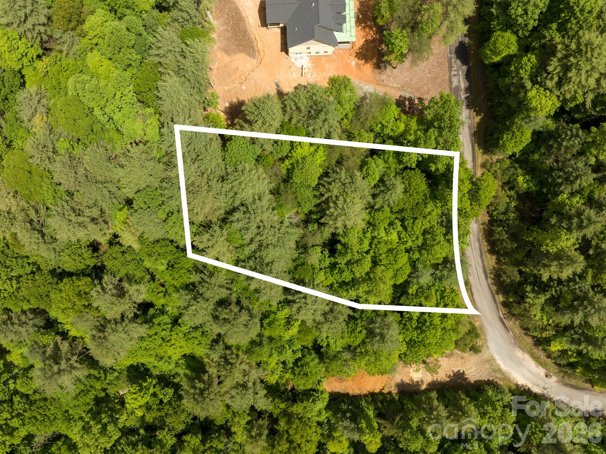 Single Family Residence at Lot #28 Awi Trail, Hendersonville, photo 6 of 15