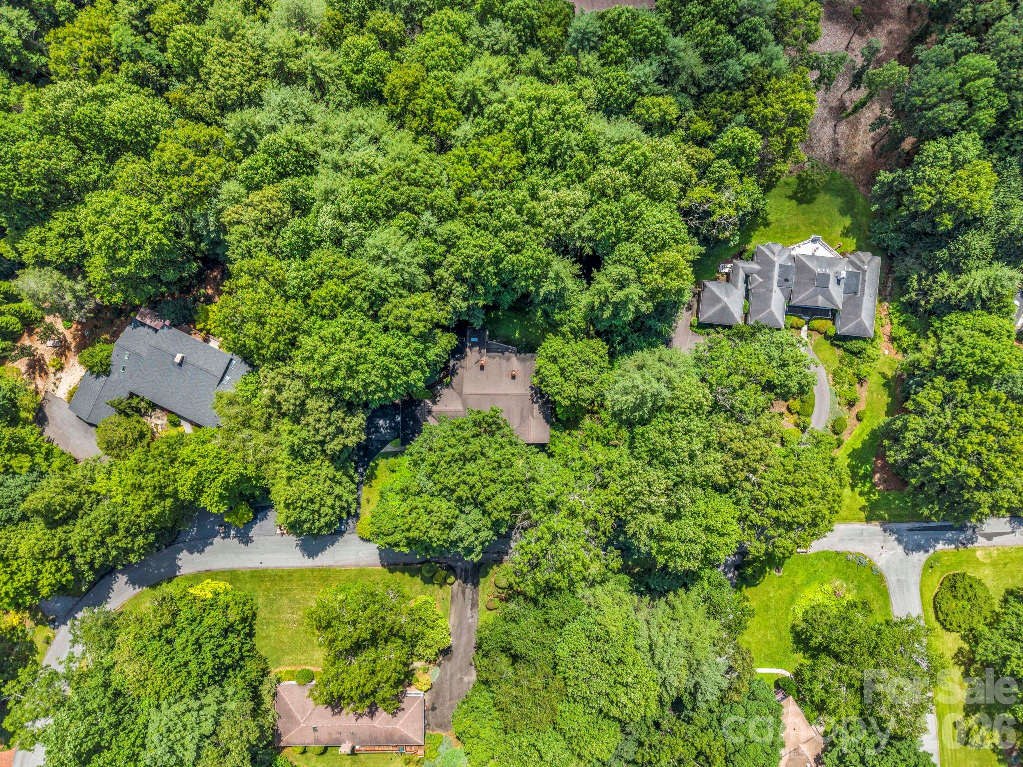 Aerial image - 115 Woodhaven Drive - 115 Woodhaven Drive, Hendersonville