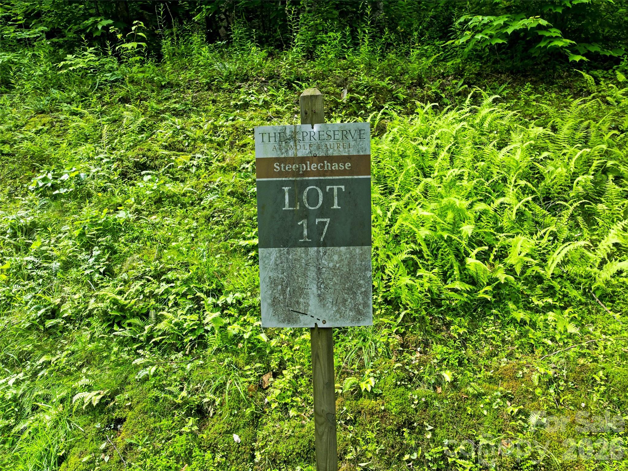 Lot at 17 Mountain Gait Drive, Mars Hill, photo 2 of 18