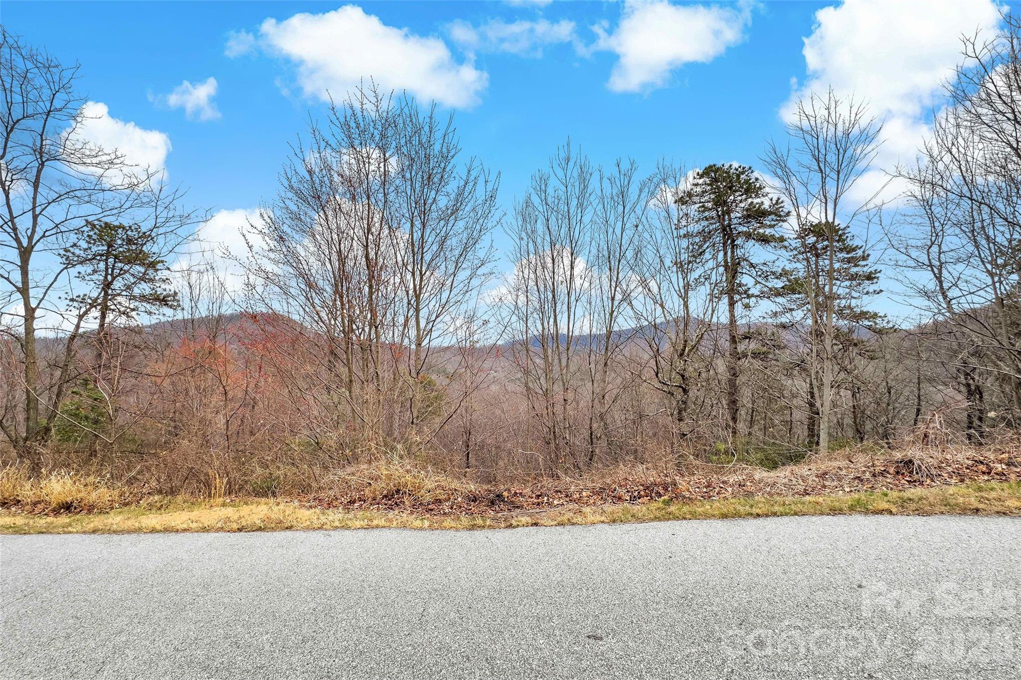 Acreage at 230 Catawba Falls Parkway, Black Mountain, photo 2 of 22