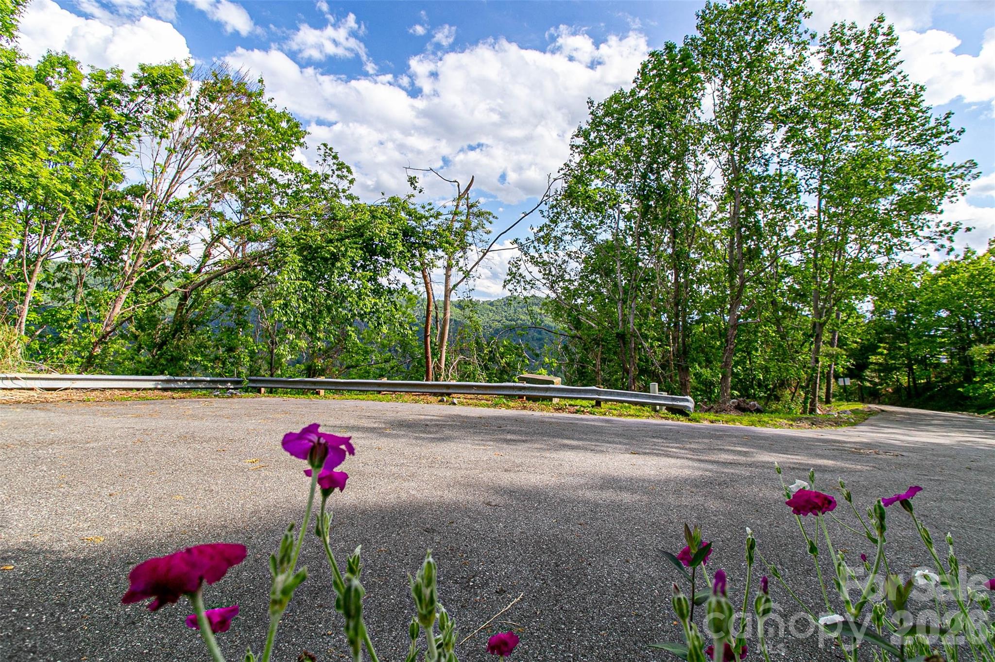 Lot at 99999 BLACK OAK Drive, Asheville, photo 2 of 14